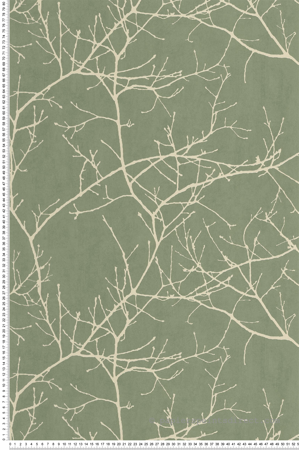 Papier peint Branche Arbre Vancouver vert eucalyptus - Riverside 4 de Casadéco | Réf. RIVI89537488