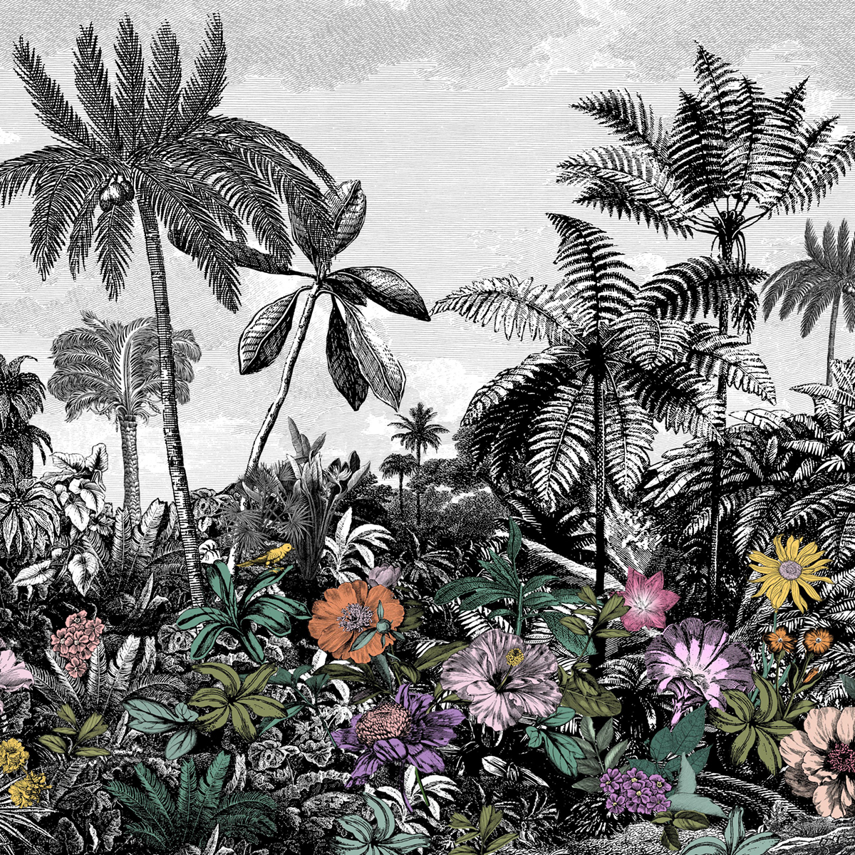 Papier peint panoramique Paysage Corner Of Paradise noir S 250X250 - Pimp My Wall de Casélio | Réf. PMW105199906