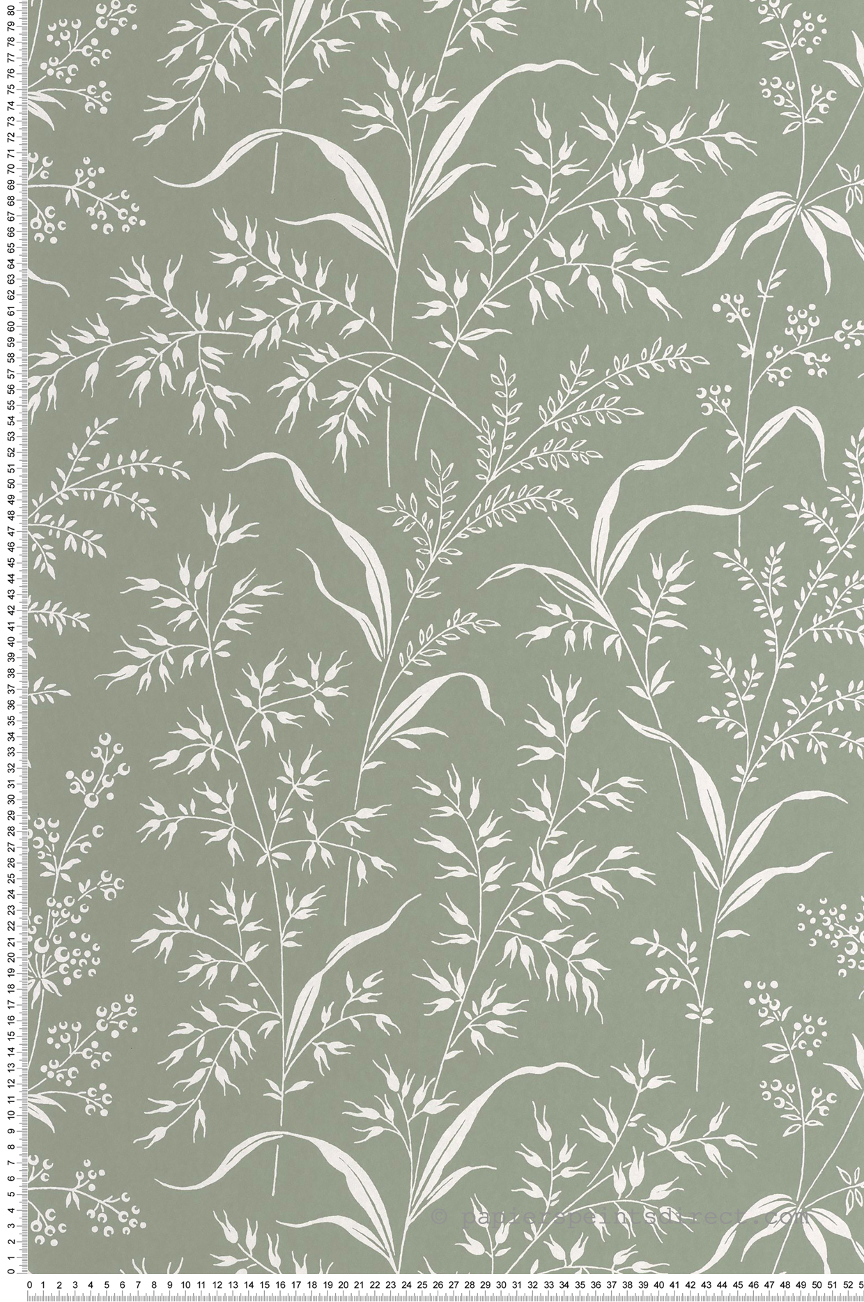 Papier peint Champ d'Herbe vert céladon - Soliflore de Casadéco | Réf. SOLI200286306