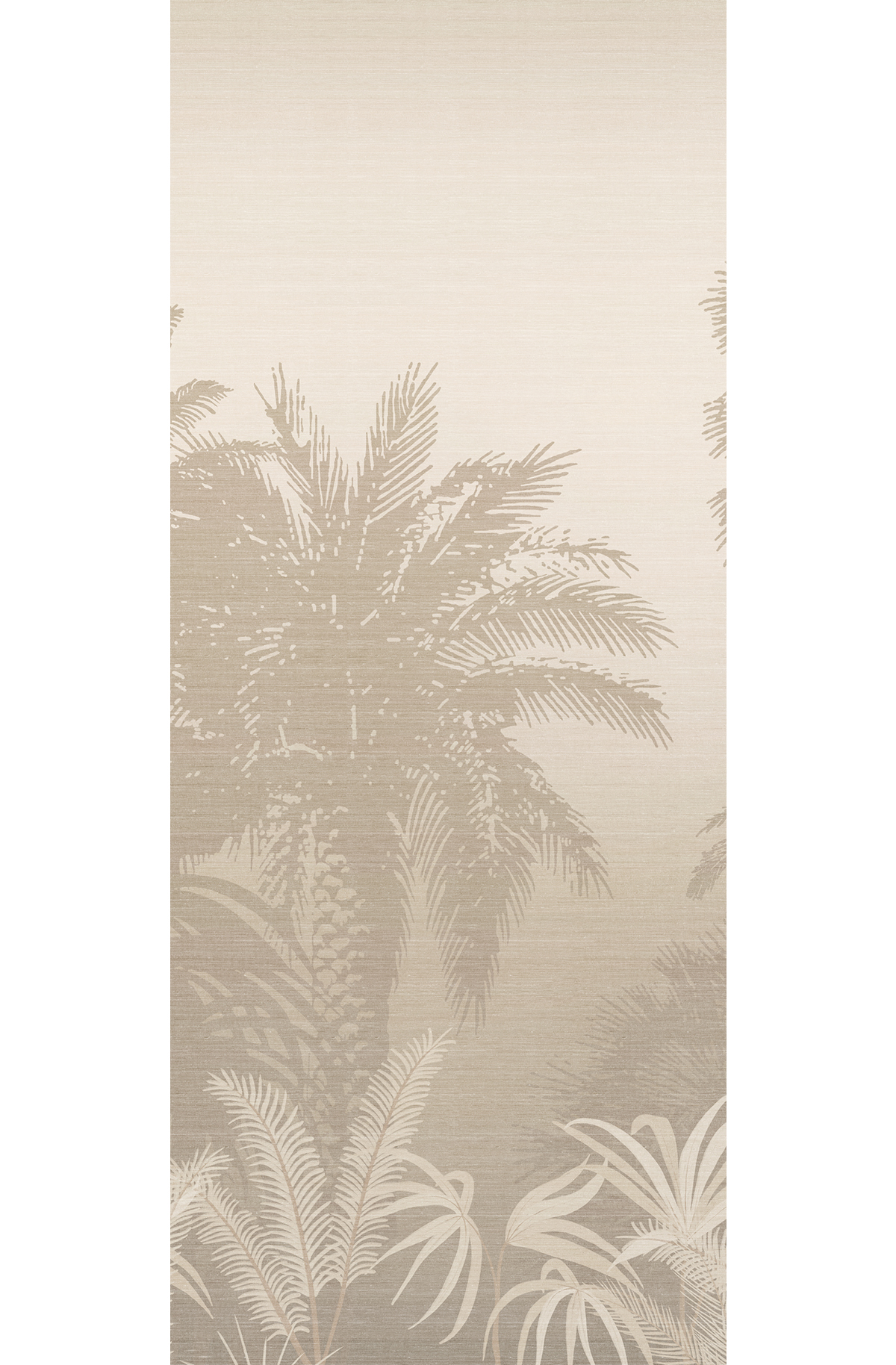 Papier peint panoramique Jungle Awarra beige - B H260 - Amazone de Masureel | Réf. MAS-DGZON1012-260