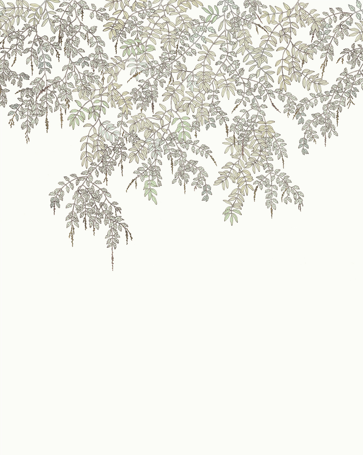 Papier peint panoramique Feuillage Falling Petals vert d'eau 200X250 - Art of Botany de Casélio | Réf. AOB106707005