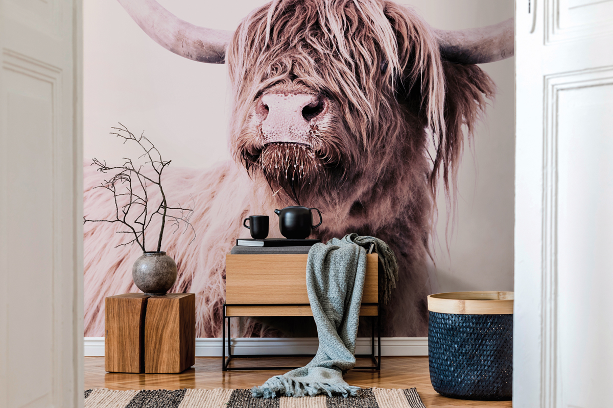 Papier peint panoramique Vache Highland Cattle 1 - Référence DD119821 - Intissé 200g/m2 - Standard 200 x 270
