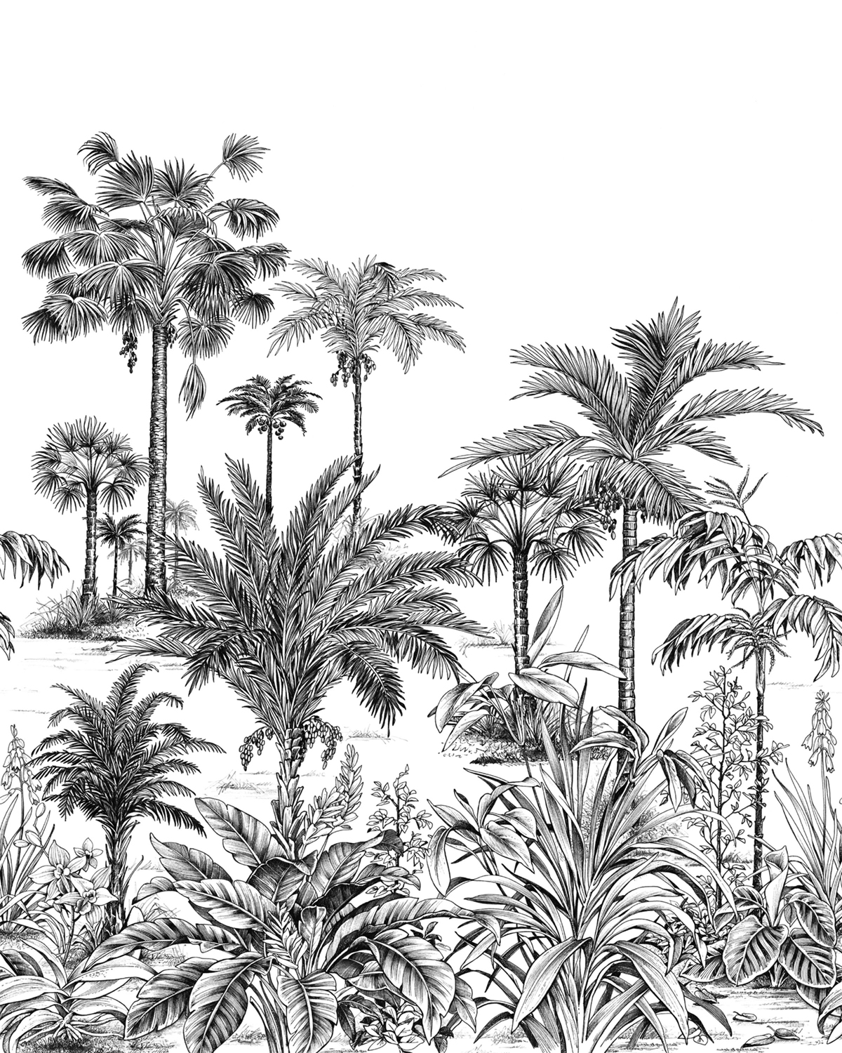 Papier peint panoramique Jungle Nicoya S noir fusain 200x250 - Wonderwalls de Casadéco | Réf. WDWS89129305