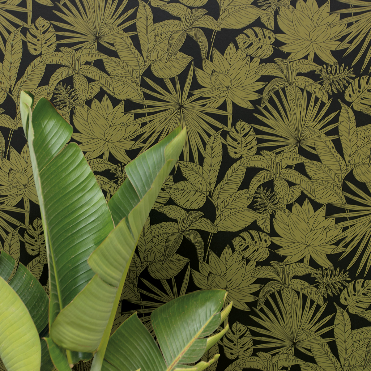 Papier peint jungle Feuilles Hawai noir/vert kaki - L'odyssée de Casélio AMB2 | Réf. OYS101437402