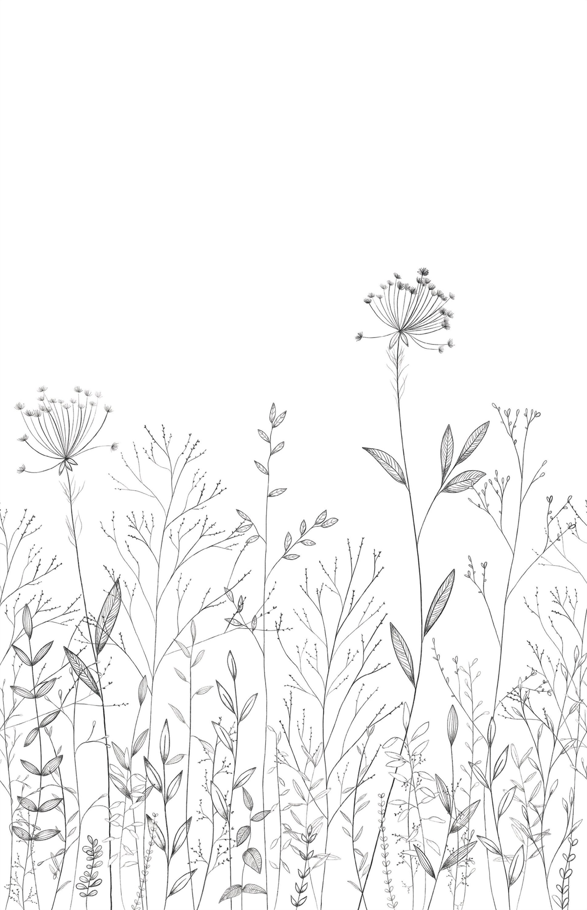 Papier peint Panoramique Prairie Field Line noir et blanc 200X310 - Moonlight 3 de Casélio | Réf. MNL3107220904