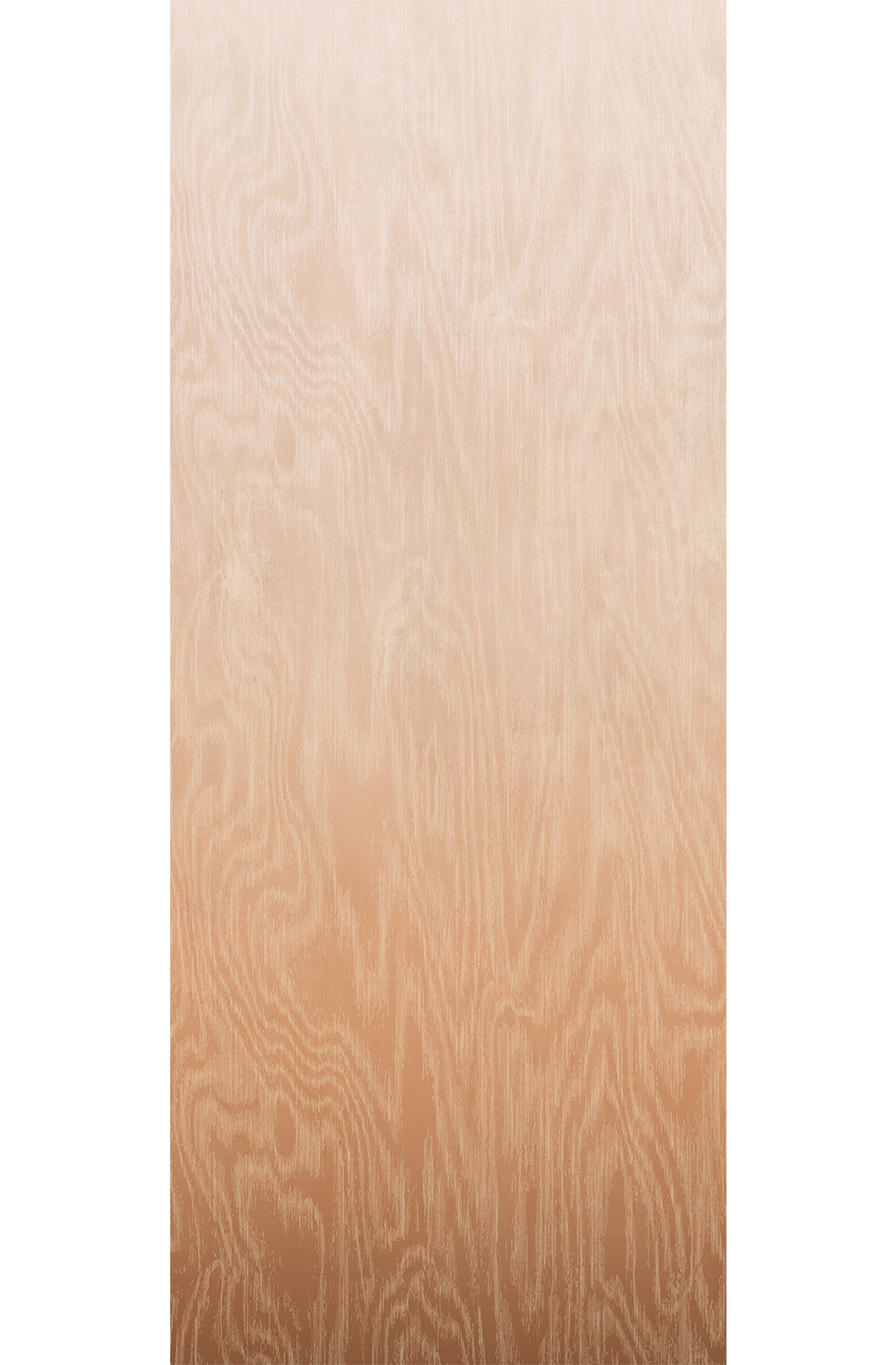 Papier peint panoramique Dégradé Moiré Bois camel beige - A H260 - Wall Designs IV de Masureel | Réf. MAS-DG4MOI1041-260