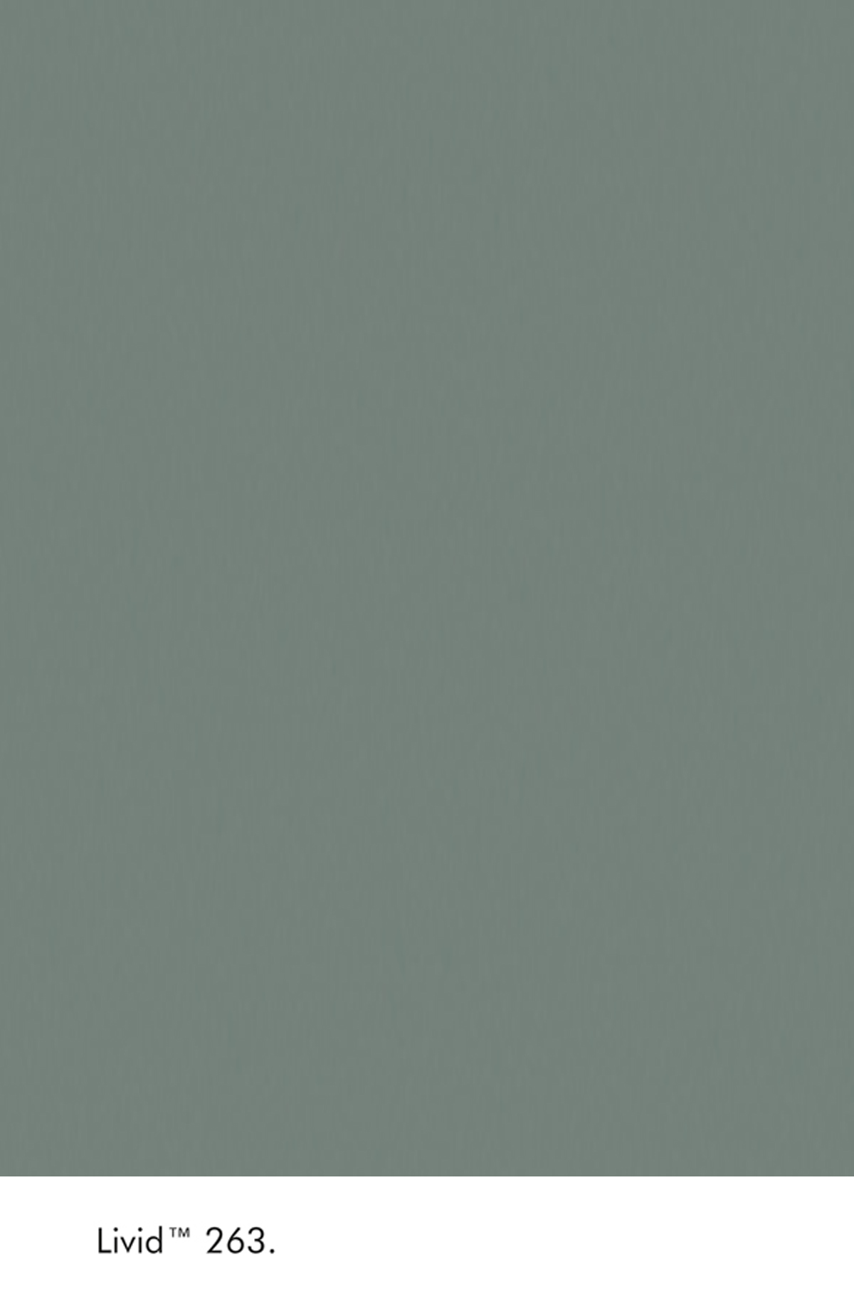 Peinture Little Greene Livid n°263