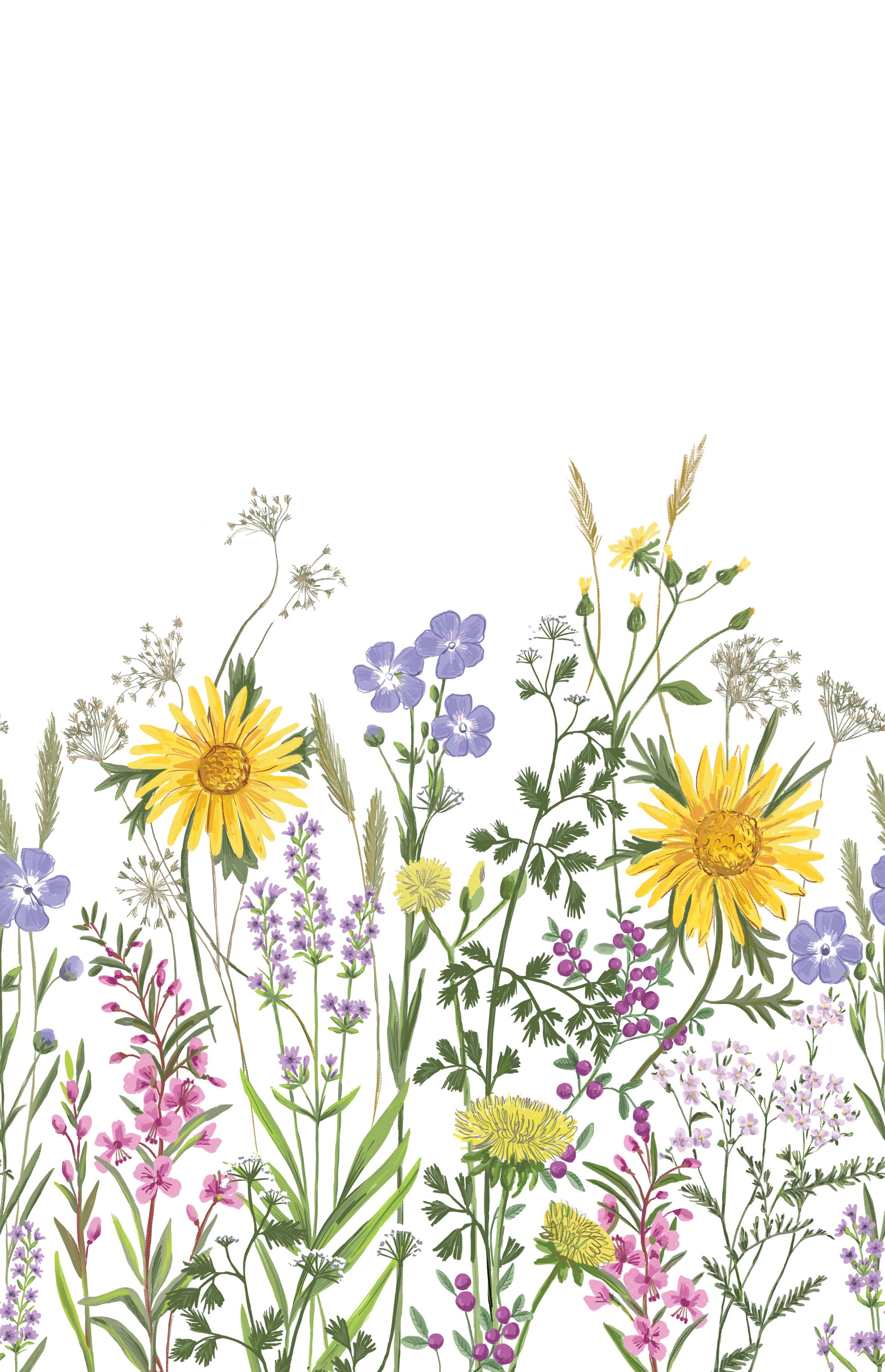 Papier peint panoramique Fleurs Thalia violet jaune L 200x310 - Danae de Casélio | Réf. DAE103674204