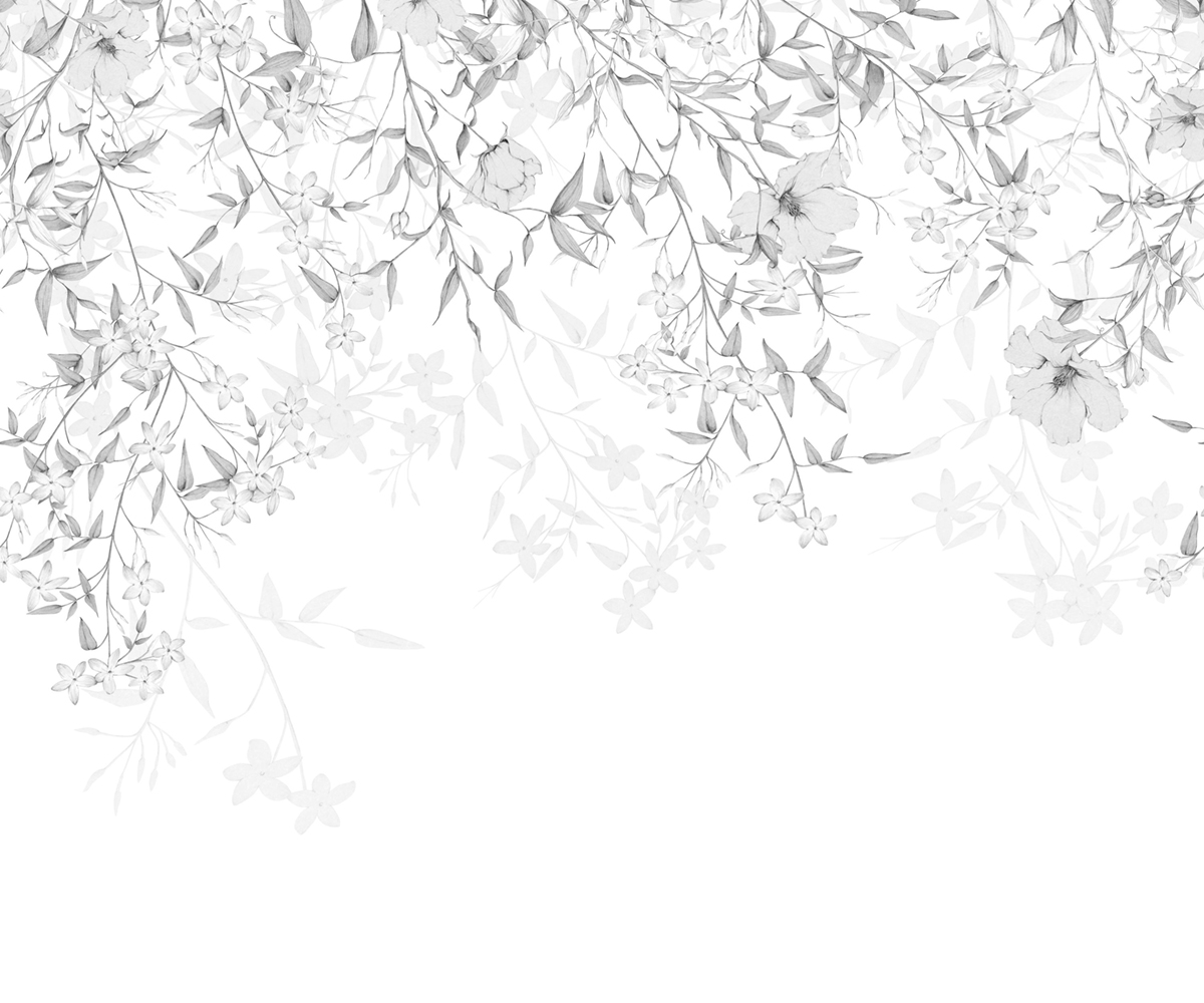 Papier peint panoramique Fleuri Flore Enchantée S gris 300X250 - Wonderwalls 2 de Casadéco | Réf. WDWD200199407