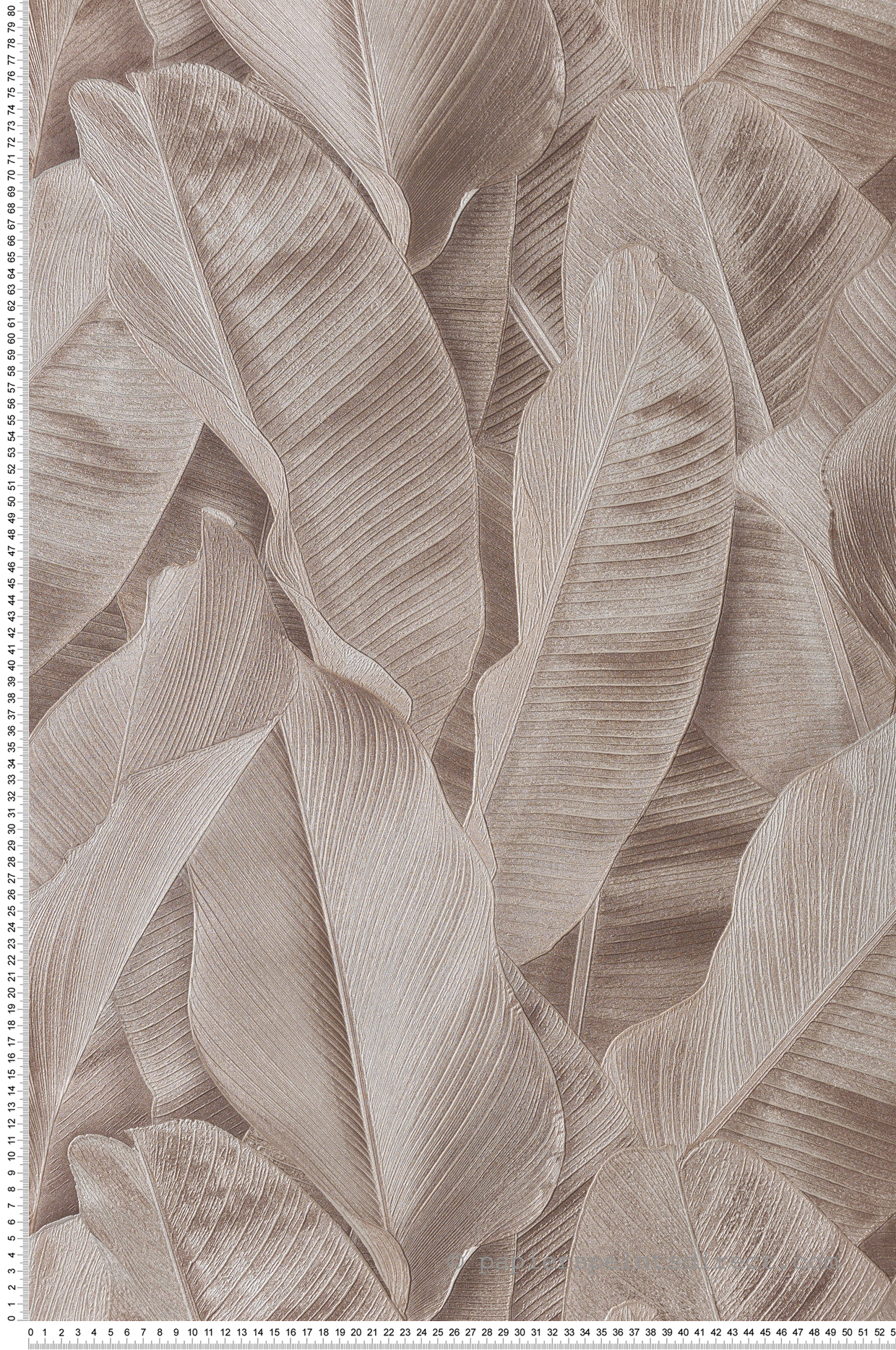 Papier peint Feuille Banana grège - Folium de Montecolino | Réf. MC-FO17807