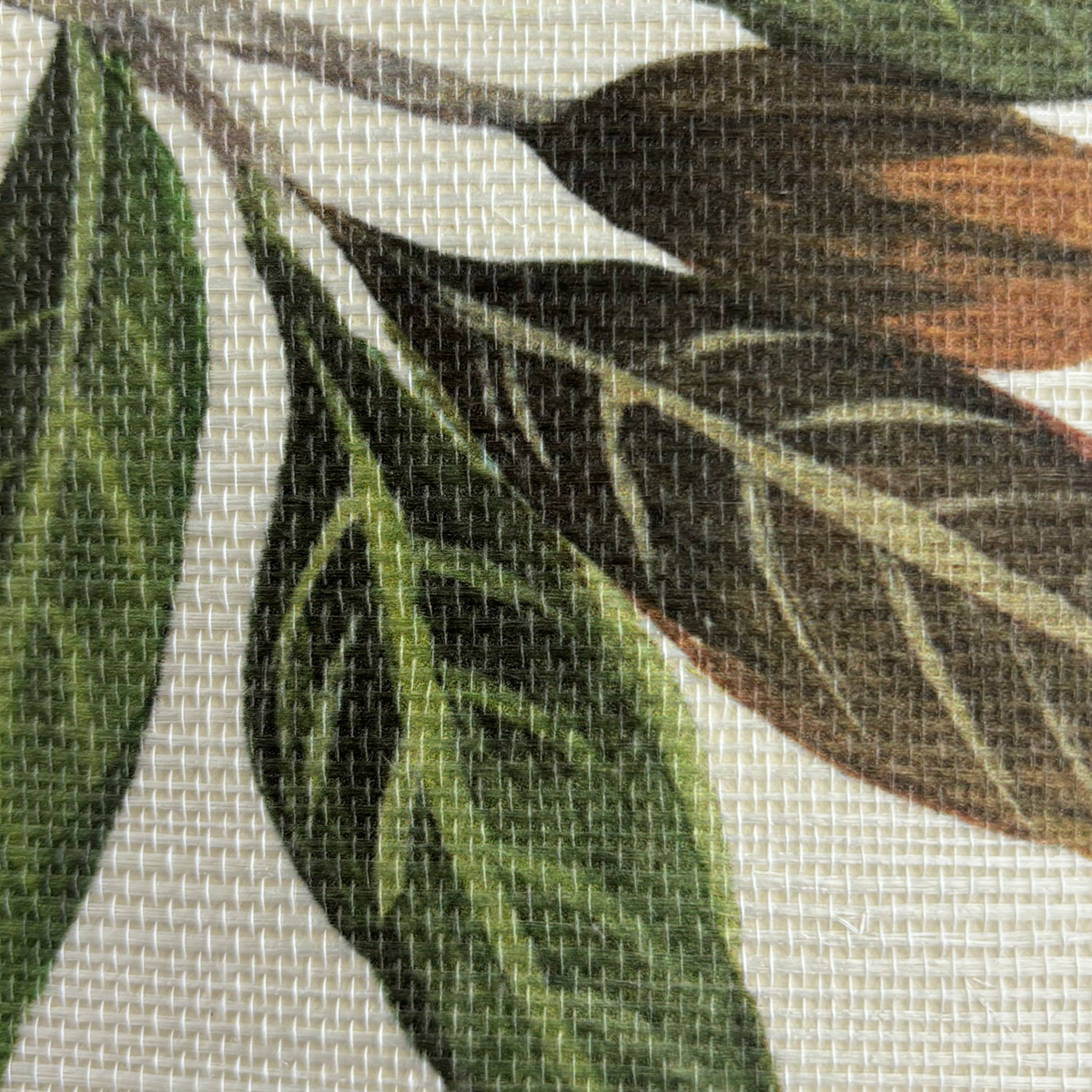 Papier peint panoramique Oiseaux Chinoiserie Magnolia Grasscloth blanc cassé - Daisy Bennett d'Initiales AMBZ | Réf. INI-DB31506M