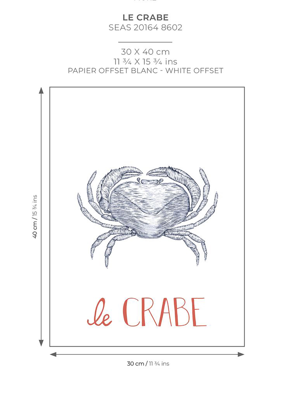 Affiche Crabe Croquis 30x40 bleu marine - Seaside de Casadéco AMB7 | Réf. SEAS201648602