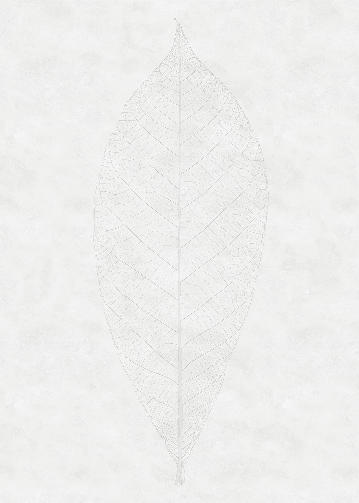 Papier peint feuille panoramique Decent Leaf - Papier peint Komar RAW