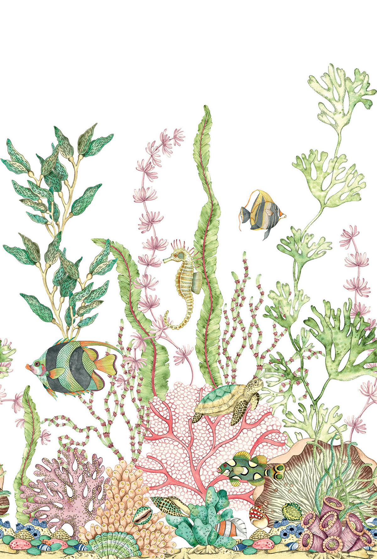 Papier peint panoramique Poisson Nautique multicolore - Daisy Bennett d'Initiales | Réf. INI-DB30700M