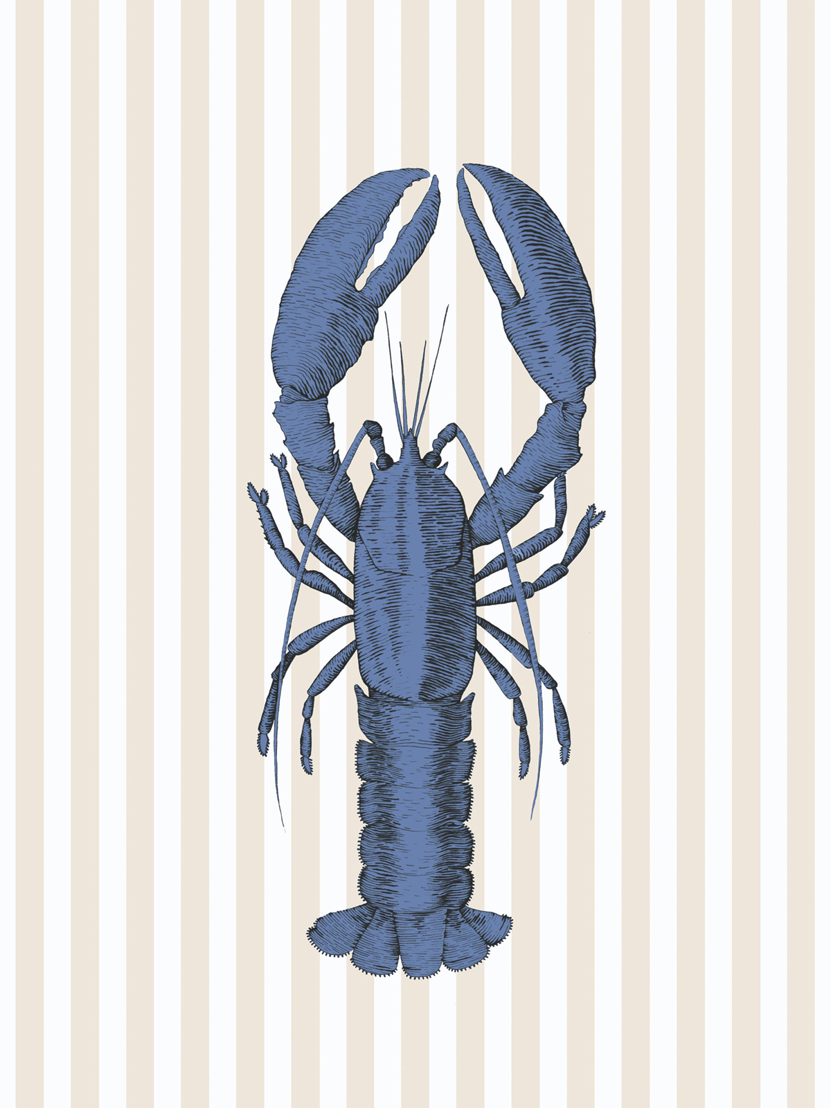 Affiche Clarisse Écrevisse 30x40 bleu - Seaside de Casadéco | Réf. SEAS201616102