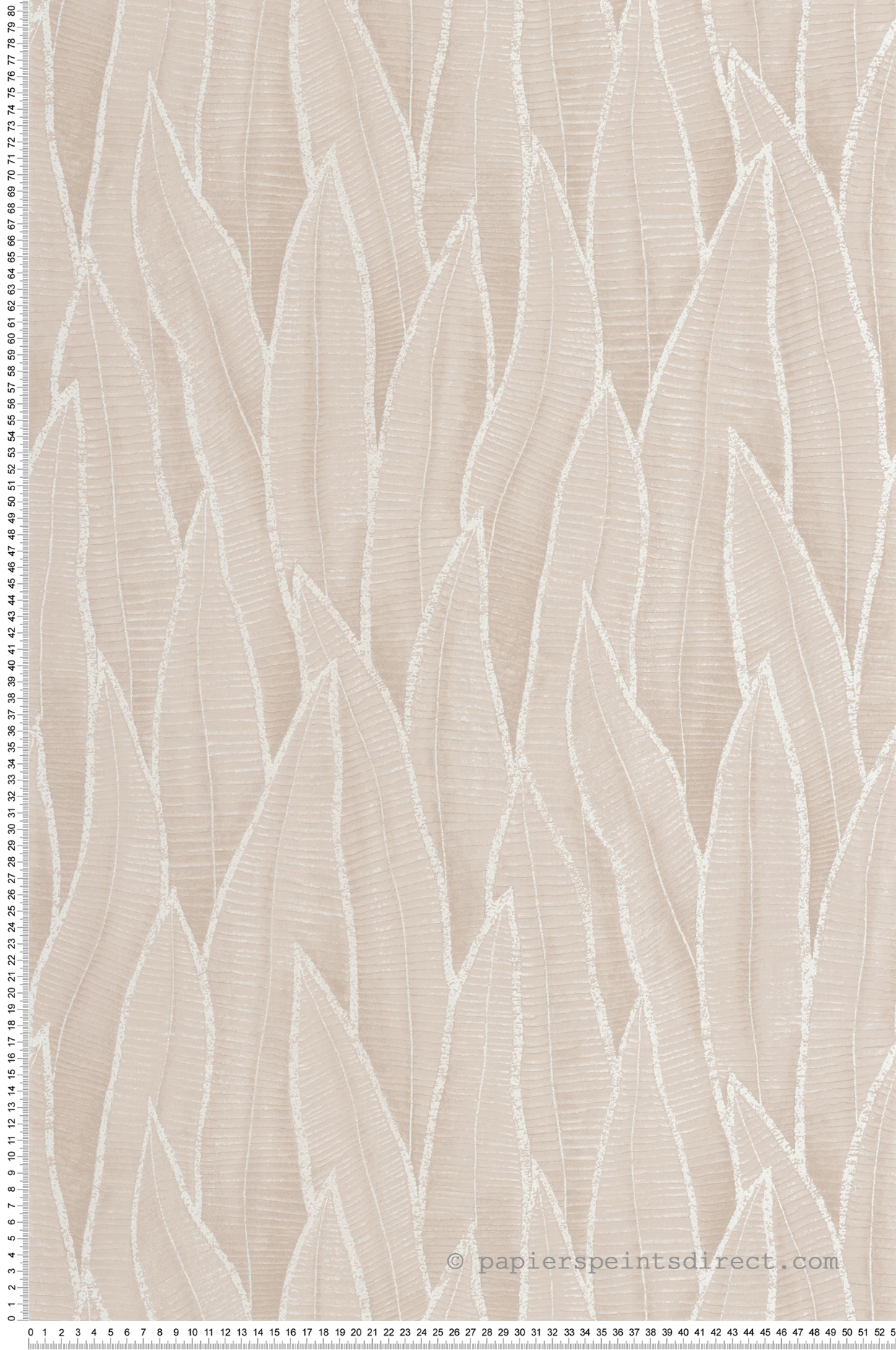 Papier peint Nature Feuille Sansevieria beige ficelle - Rio de Casadéco | Réf. RIOC201831873
