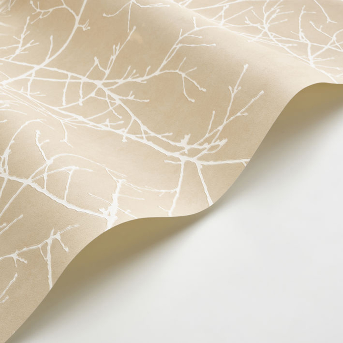 Papier peint Branche Arbre Vancouver beige sable - Riverside 4 de Casadéco AMBV | Réf. RIVI89531173
