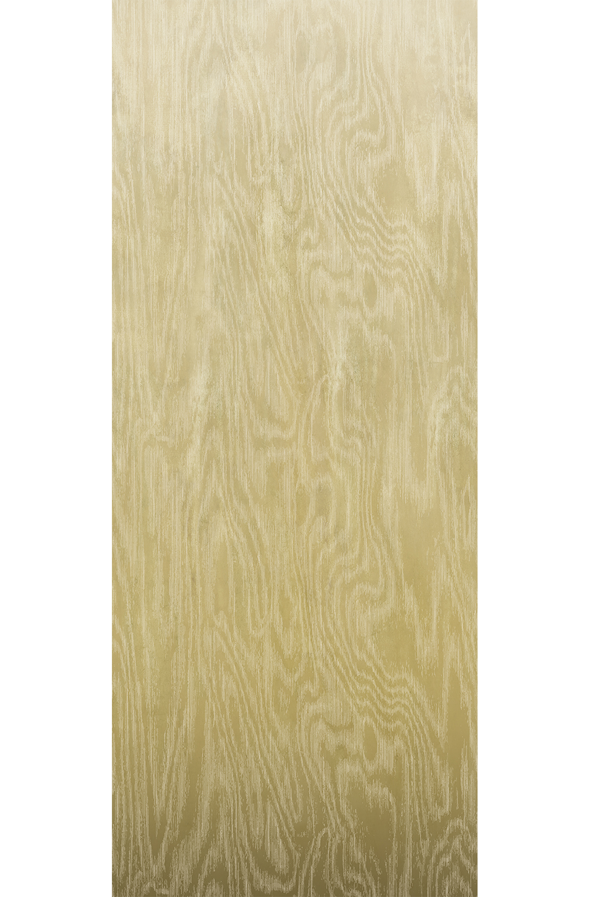 Papier peint panoramique Dégradé Moiré Bois jaune - B H260 - Wall Designs IV de Masureel | Réf. MAS-DG4MOI1012-260