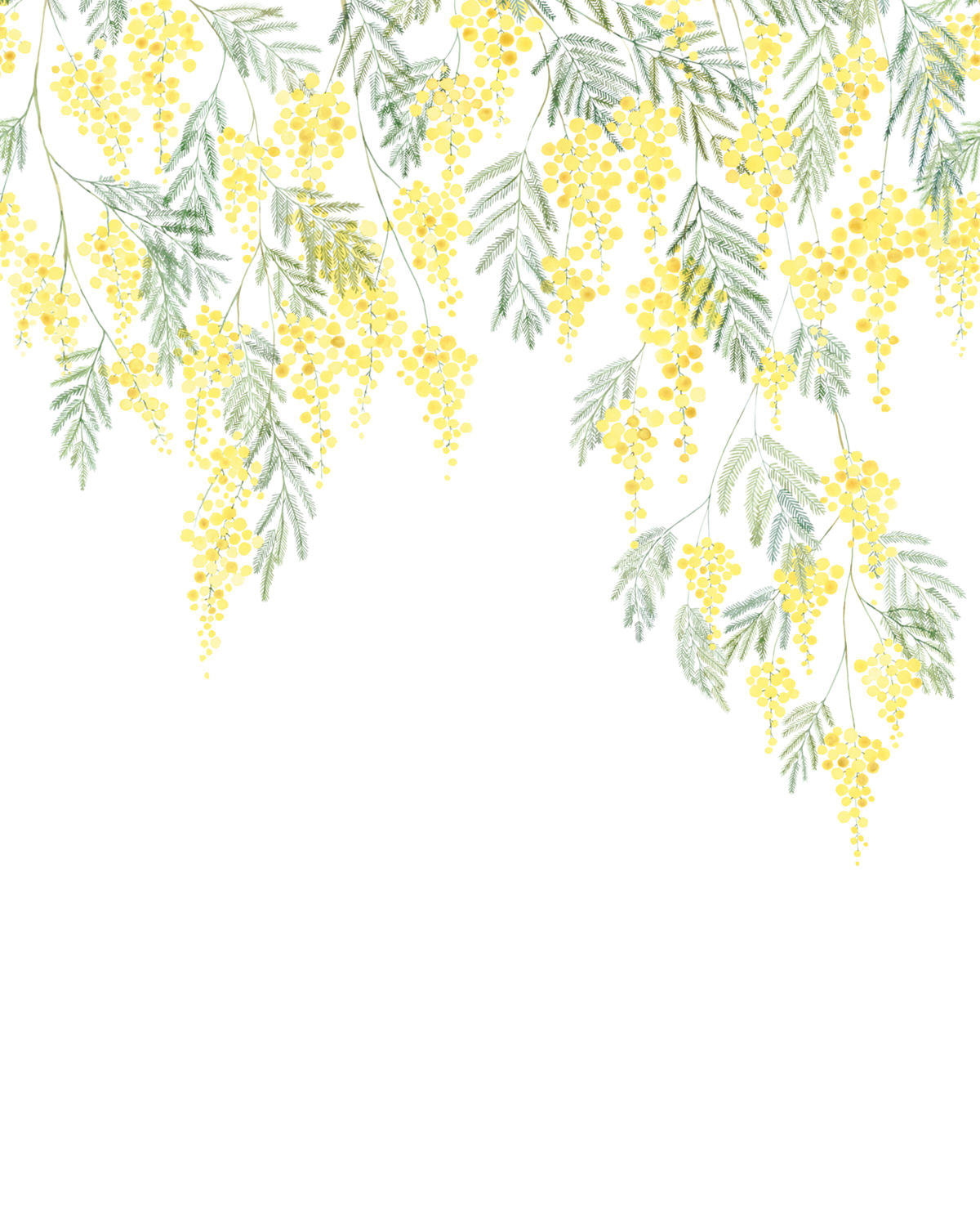 Papier peint panoramique Fleur Mimosa S jaune 200x250 - Wonderwalls de Casadéco | Réf. WDWS89172205