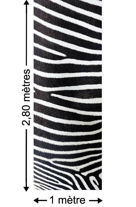 Look of Zebra - Papier peint lé unique