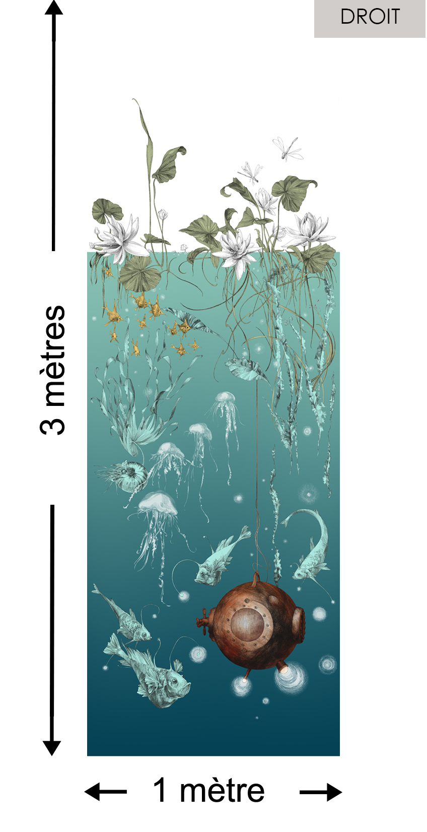 Nautilus DROIT Turquoise - Collection Catherine Gran de Edmond Petit