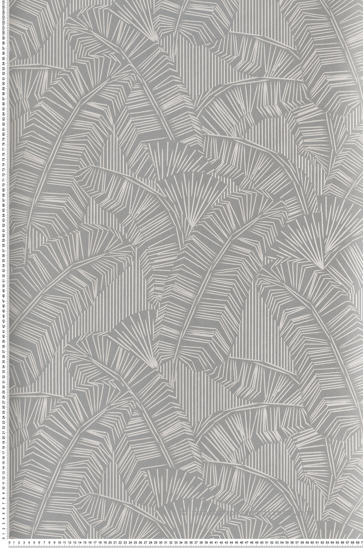 Papier peint Feuille Graphique Solana gris perle - Amani de Masureel | Réf. MAS-AMA404