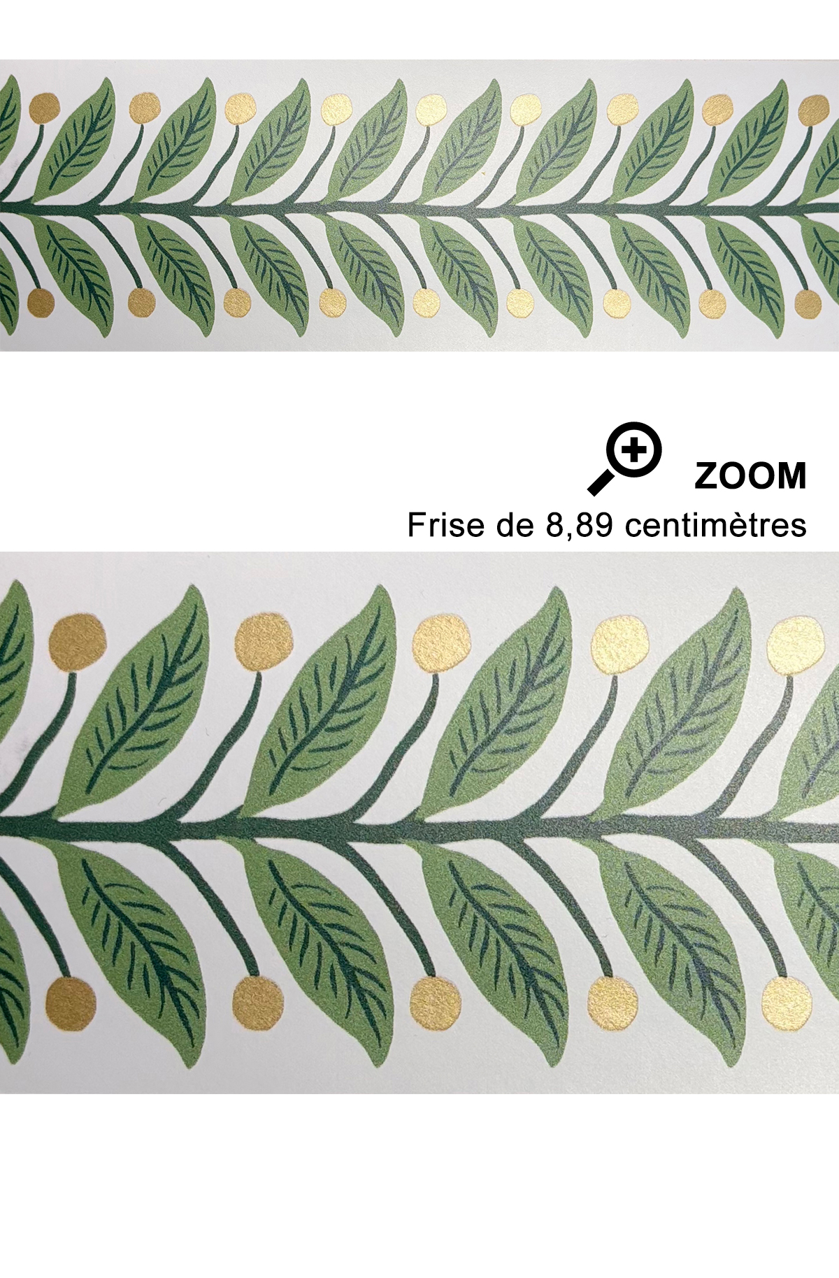 Papier peint Frise Feuillage Garden vert doré - Rifle Paper Co. 3 de York (Initiales) | Réf. INI-RF7531B