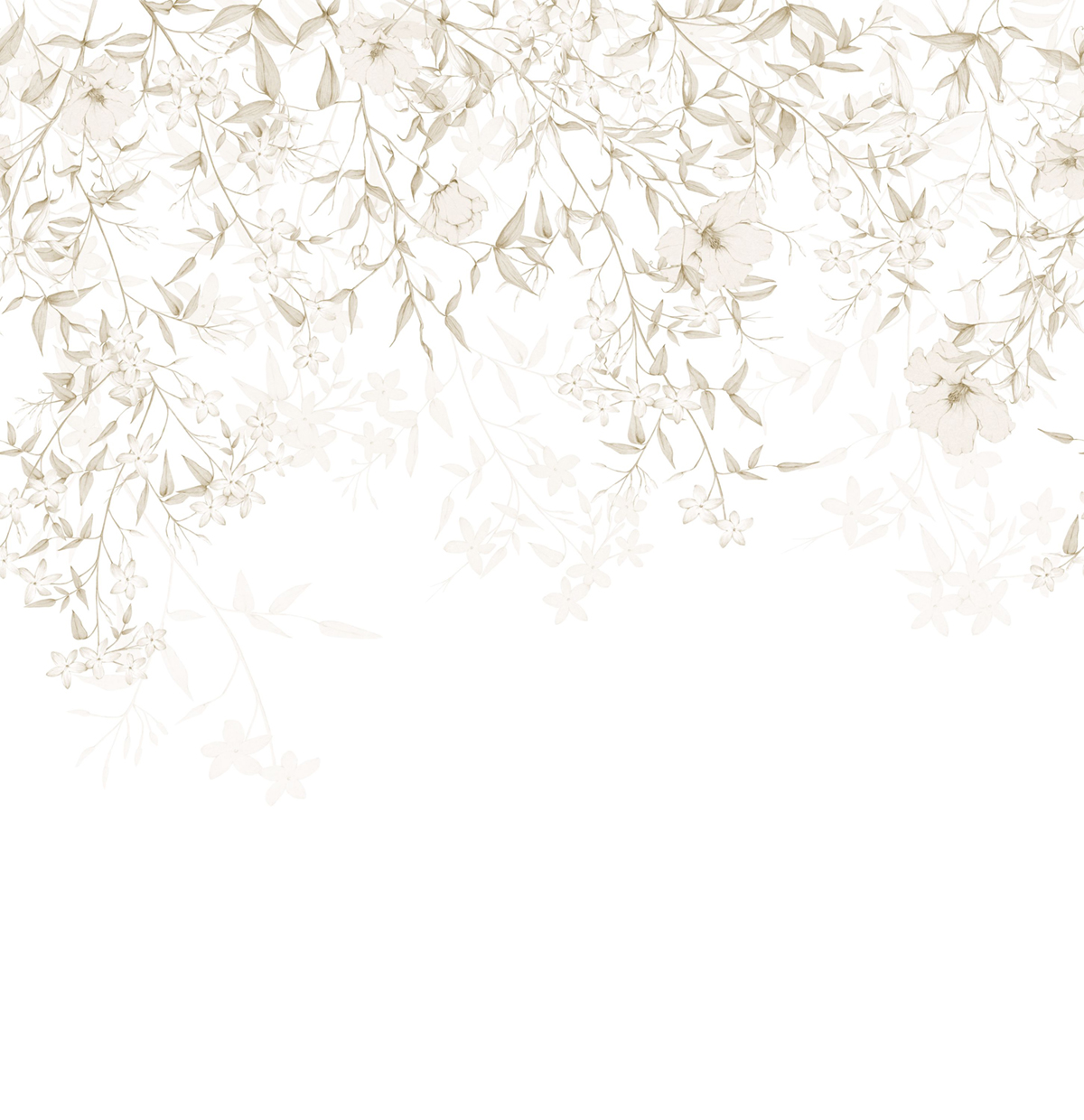 Papier peint panoramique Fleuri Flore Enchantée L naturel 300X310 - Wonderwalls 2 de Casadéco | Réf. WDWD200191309