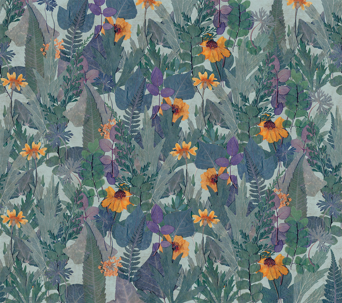 Papier peint panoramique Végétaux Herbier bleu violet - Herbier de Montecolino | Réf. MC-HED27291