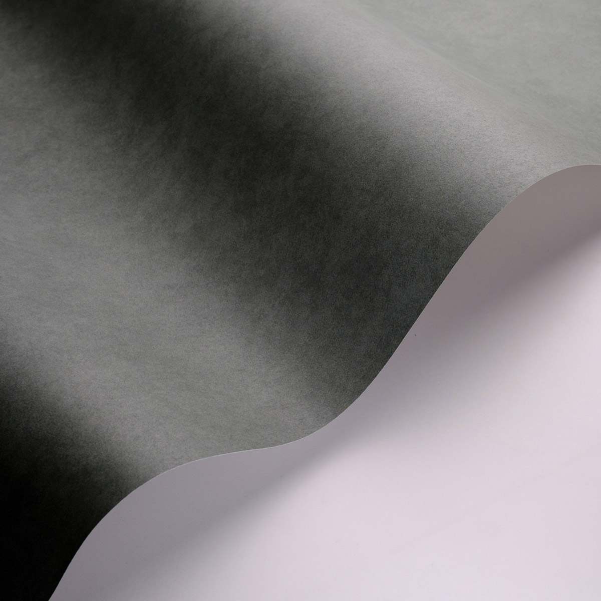 Papier peint Uni Buvard Vallauris vert cyprès - Echappée Belle de Casadéco AMB3| Réf. ECHA89857505