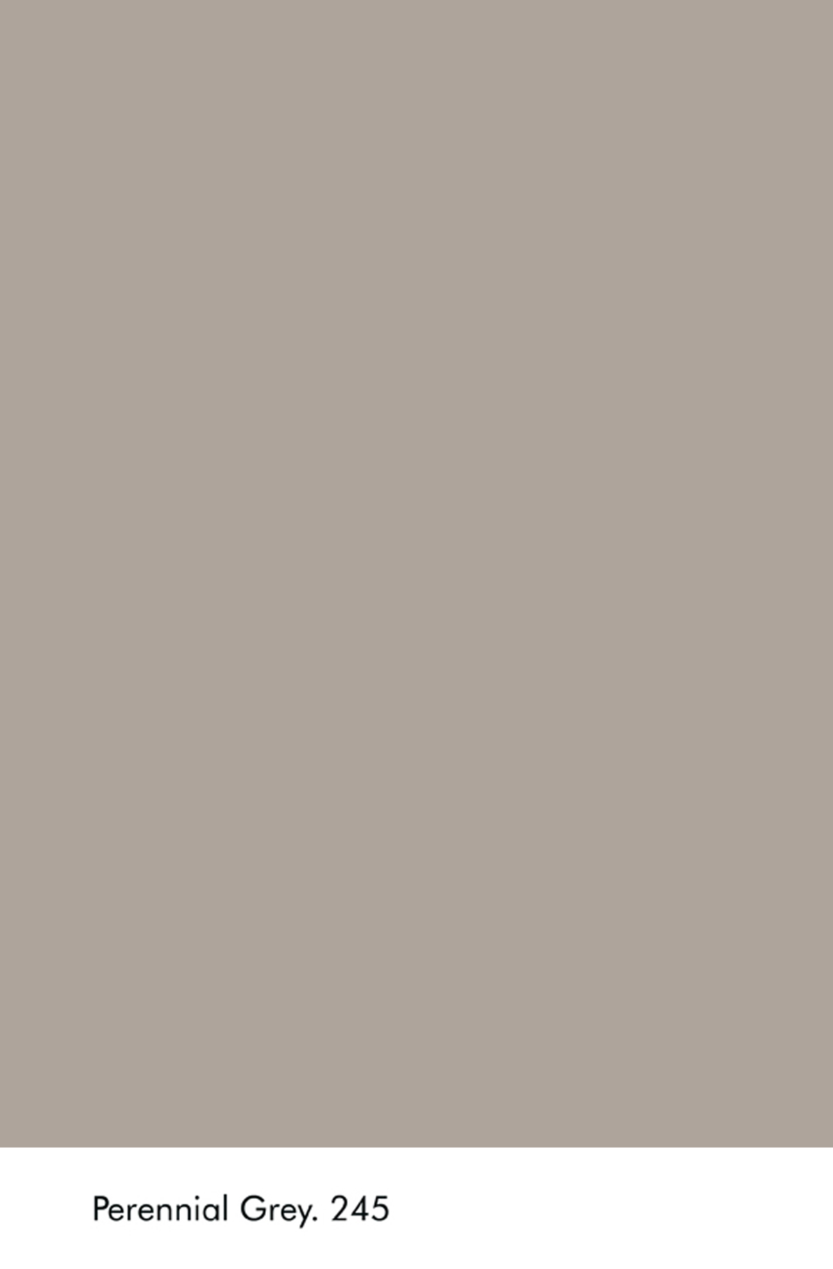 Peinture Little Greene Perennial Grey n°245 Intelligent Floor Paint 1 litre