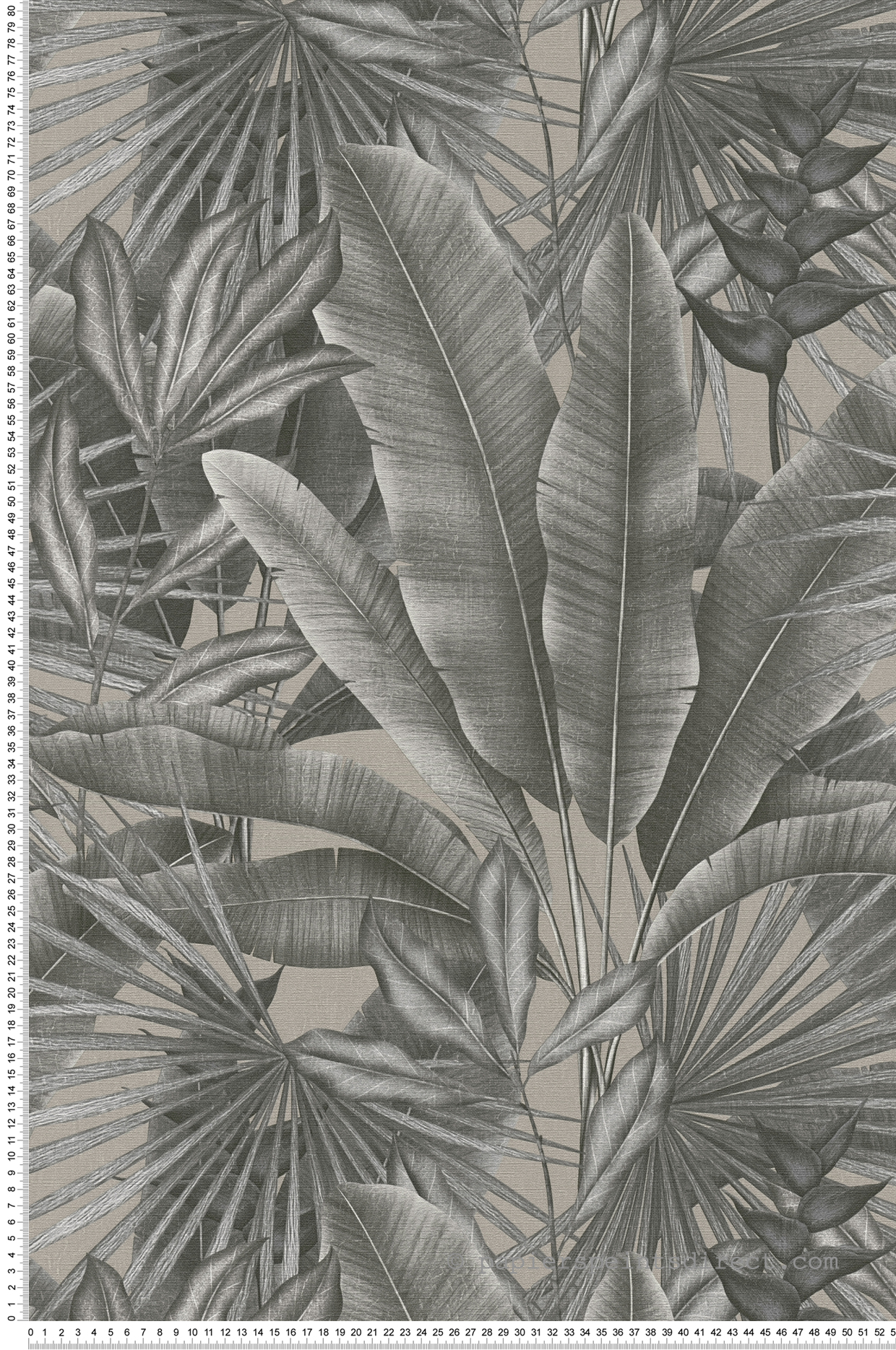 Papier peint Feuillage Jungle Amazonienne gris taupe - Stories of Life d'A.S. Création | Réf. AS-396473