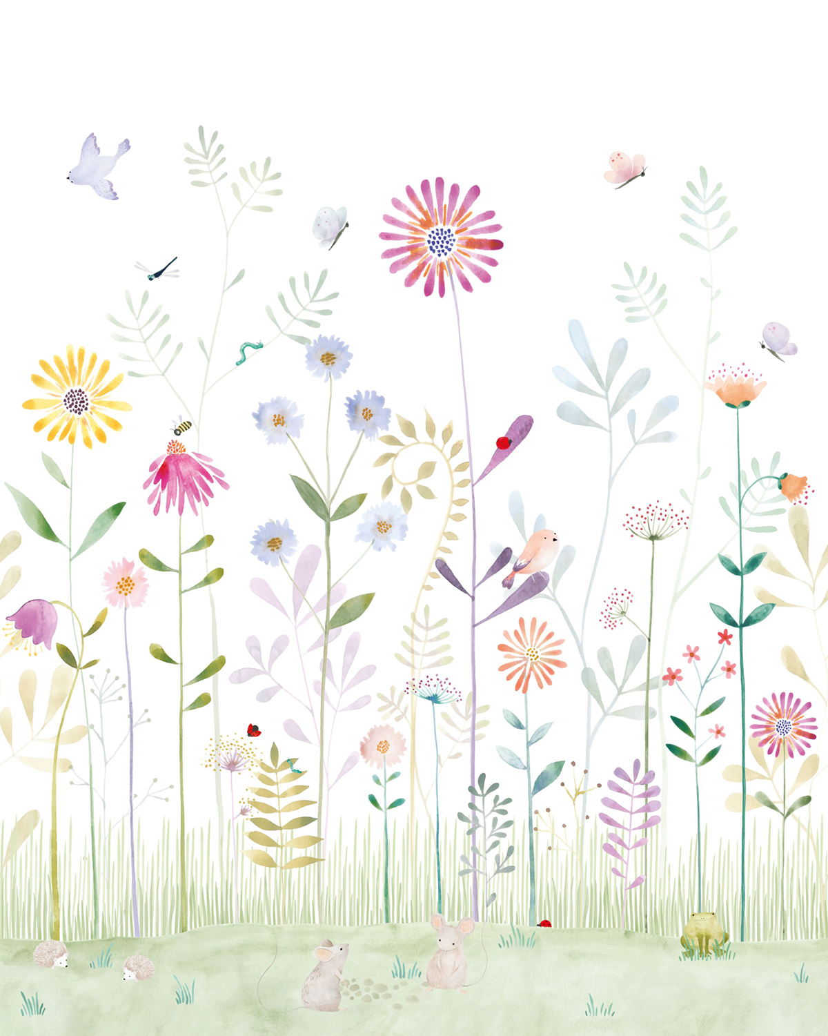 Papier peint panoramique Jardin Fleuri Grenouille S 200x250 - Once Upon A Time de Casadéco | Réf. OUAT88297405