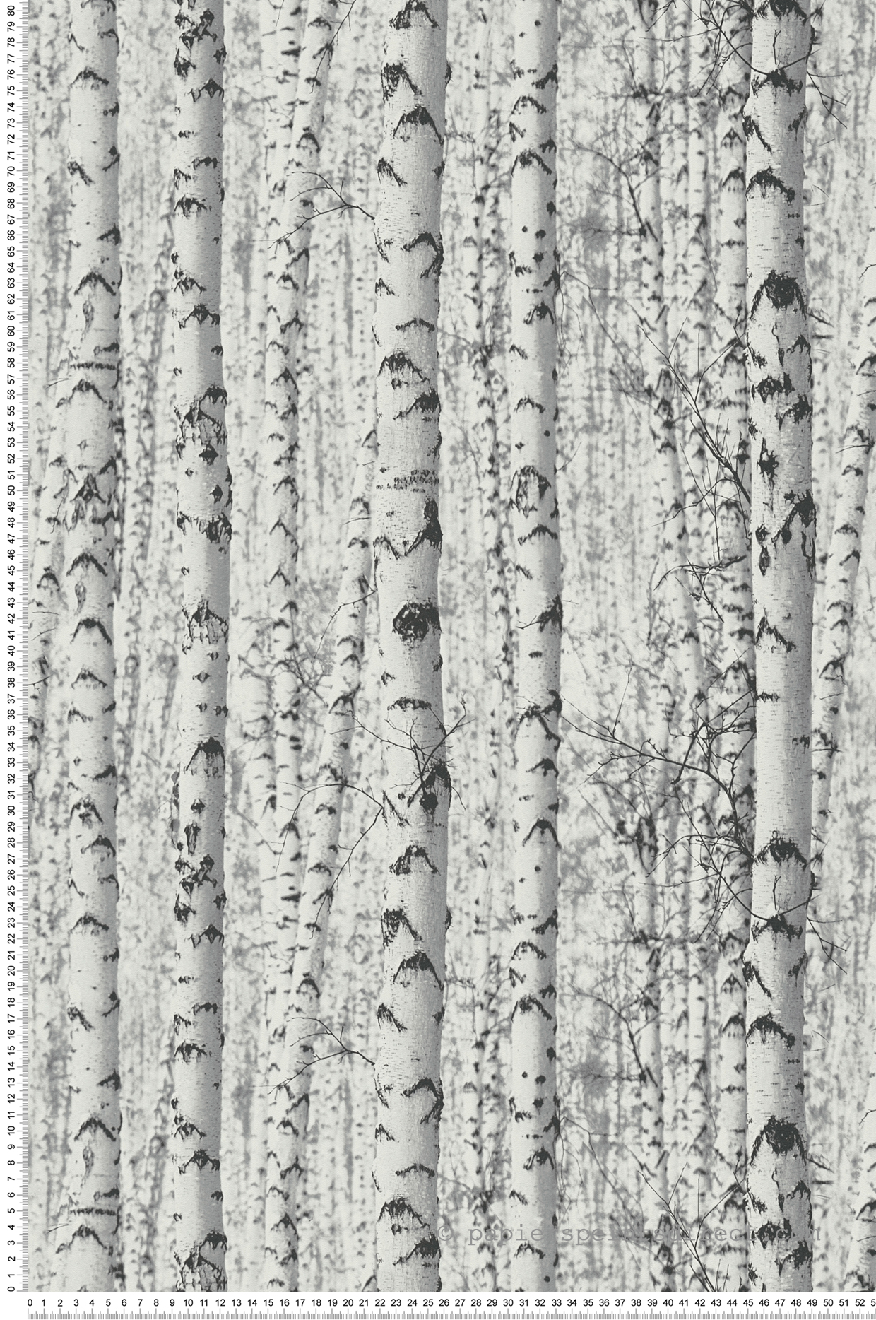 Papier peint Forêt Bouleaux noir et blanc - Séjours & Chambres de Lutèce | Réf. LTC-51222609