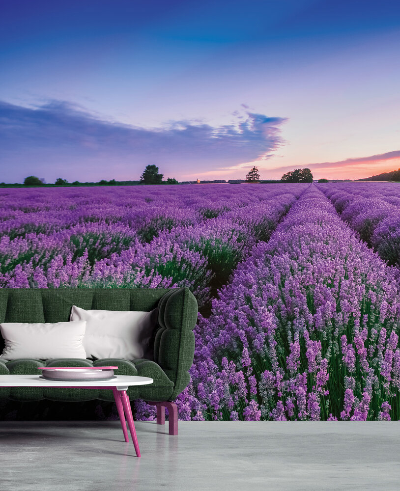 Papier peint panoramique Champ de Lavande Provençal - Wall Love d'A.S. Création | Réf. DD129578