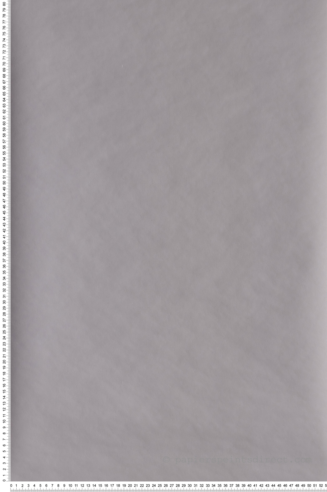 Papier peint Uni gris foncé - Rose & Nino de Casadéco | Réf. RONI69869528