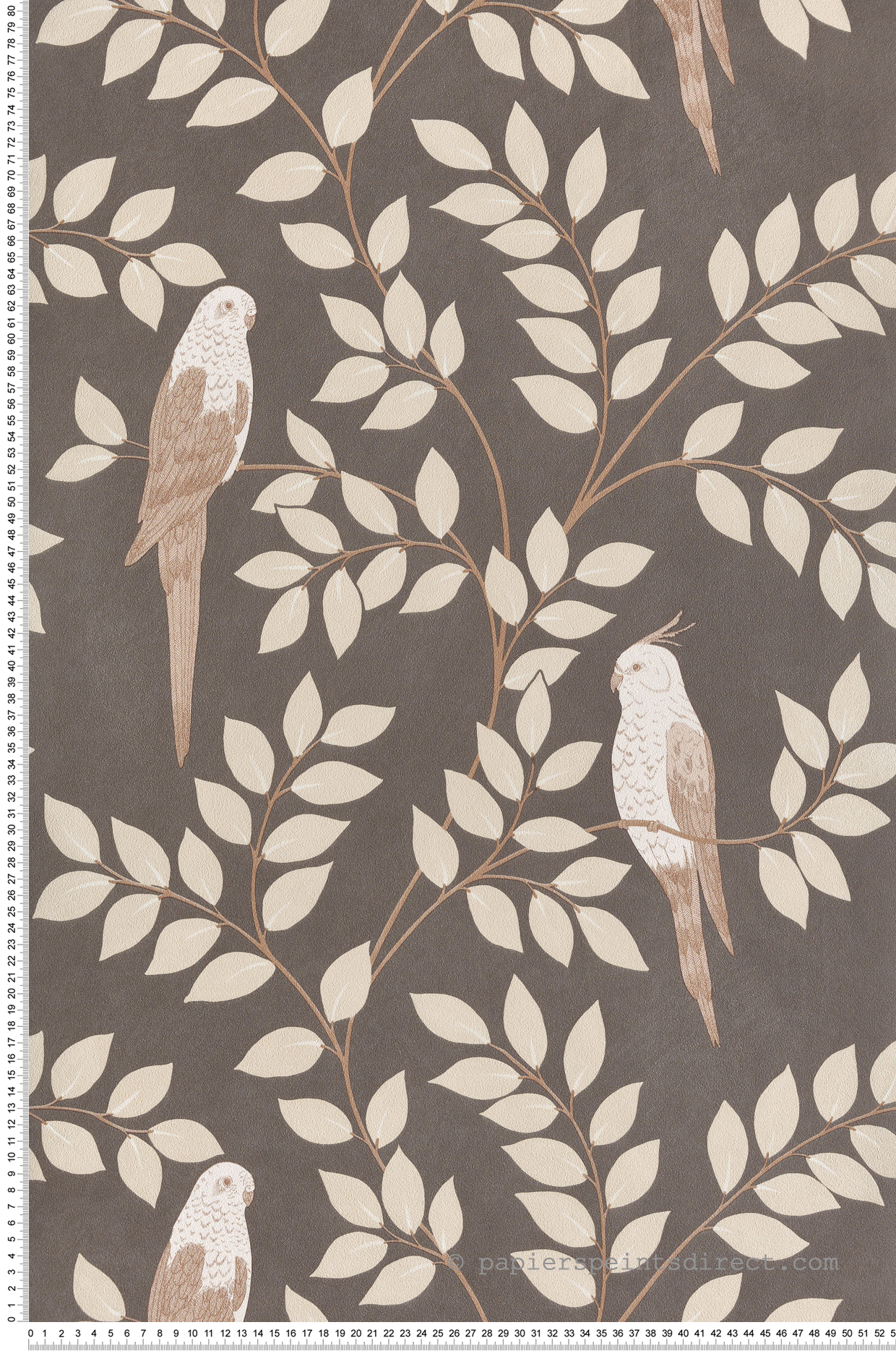 Papier peint Oiseau Jungle Equateur gris - Borneo de Casélio | Réf. BORN106529023