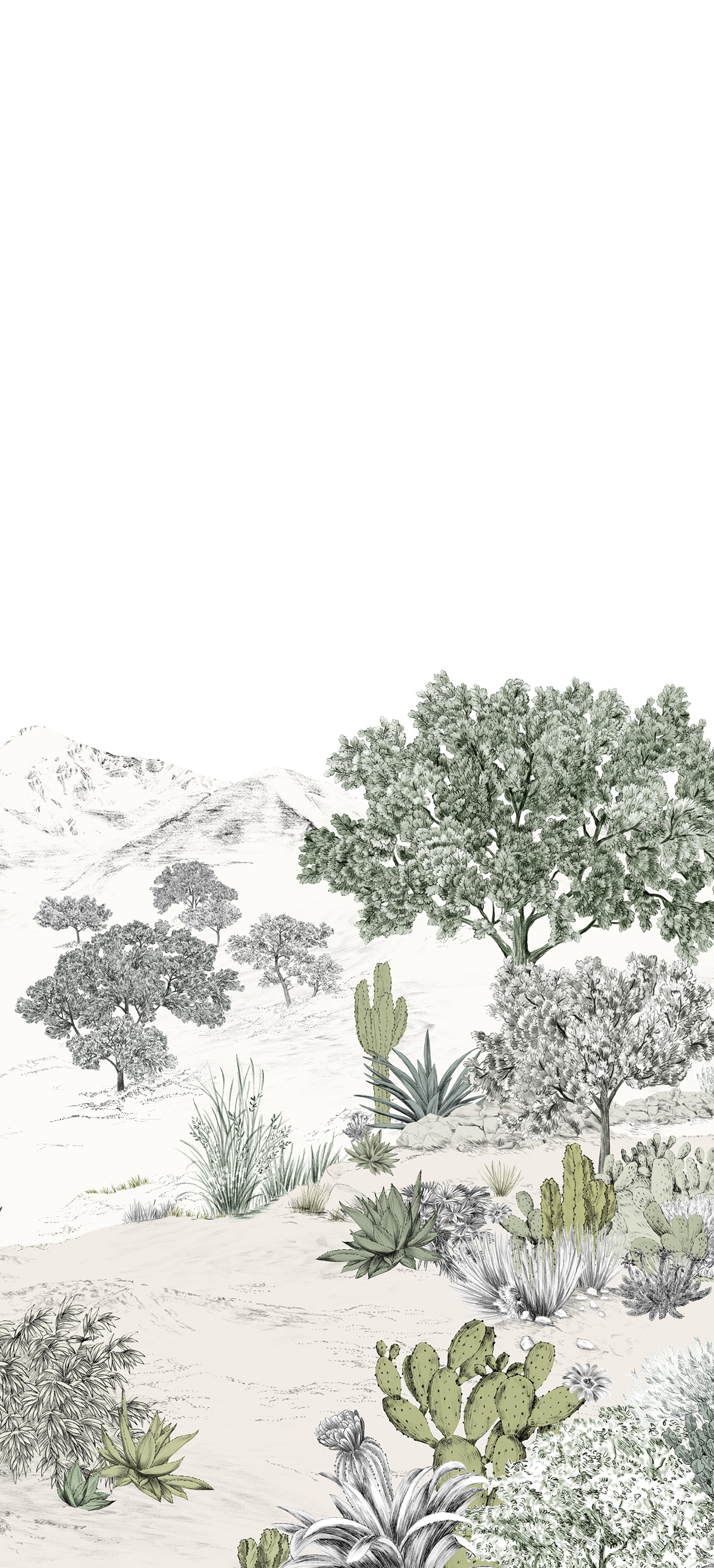 Papier peint panoramique Cactus Succulentes Naturel A - 1/2/3 - Isidore Leroy