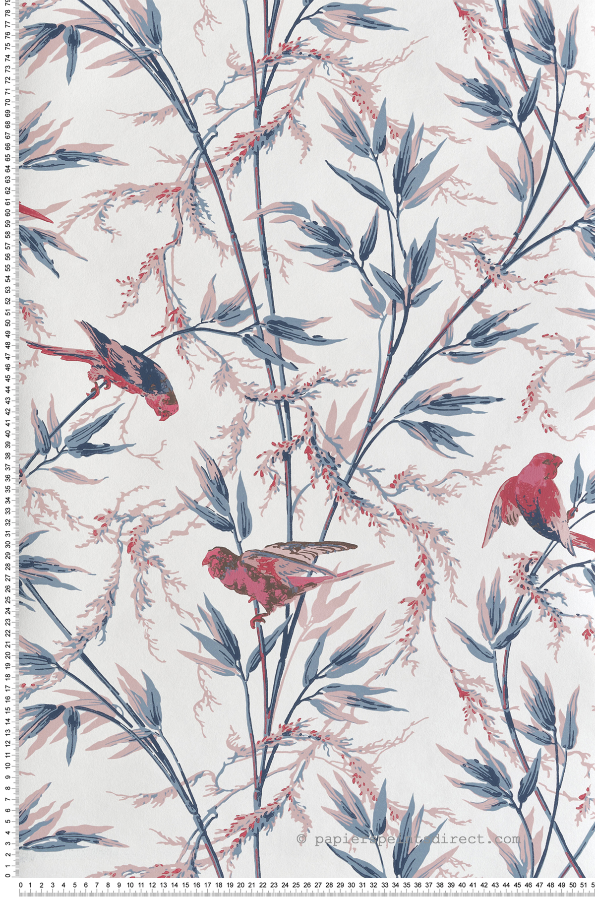 Papier peint Perroquet Great Ormond St Carmine - National Trust Papers 4 de Little Greene | Réf. 0267GOCARMI