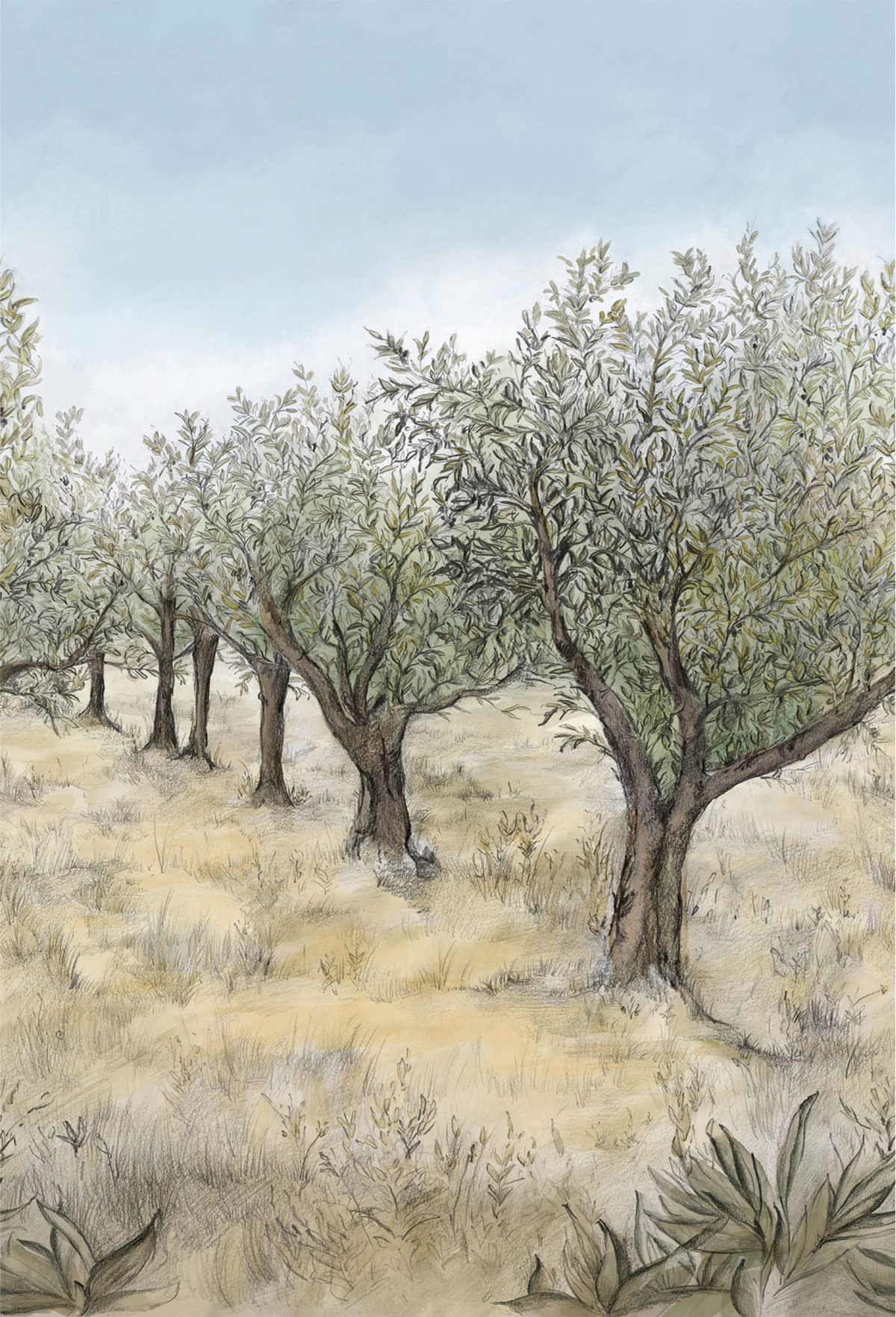 Papier peint Panoramique Oliviers Lauris kaki intissé- Panoramas 2 de Casamance | Réf. CAS-75851222