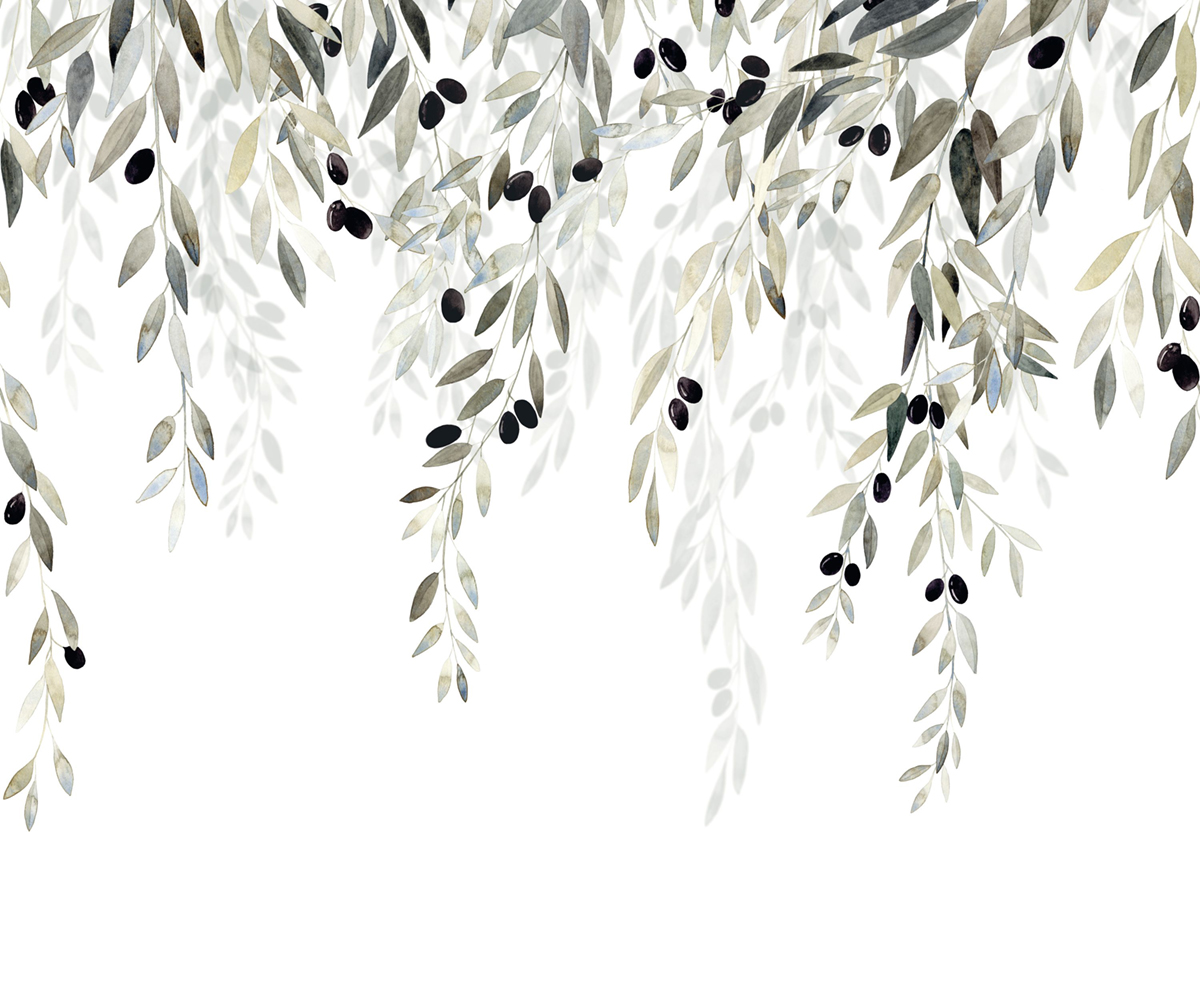 Papier peint panoramique Olive Memory Tree S vert olive 300X250 - Wonderwalls 2 de Casadéco | Réf. WDWD200147807