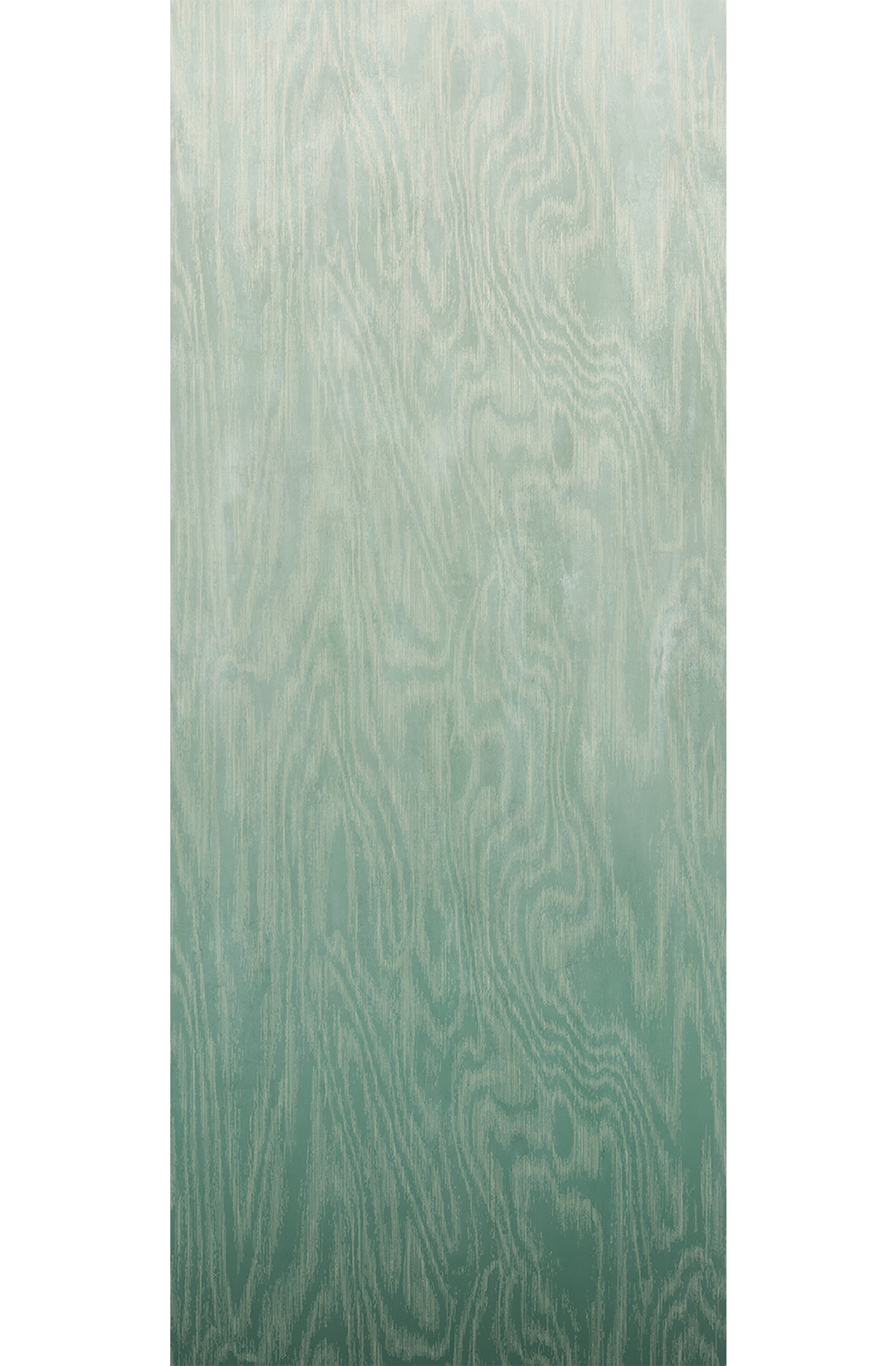 Papier peint panoramique Dégradé Moiré Bois vert - B H260 - Wall Designs IV de Masureel | Réf. MAS-DG4MOI1022-260