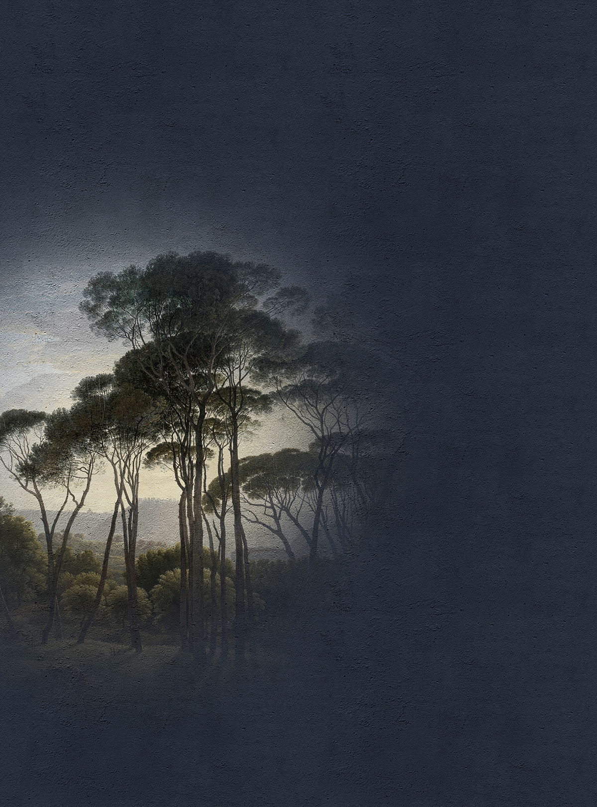 Papier peint panoramique Pins Fresco 5 - Référence DD110671 - Intissé 200g/m2 - Standard 200 x 270