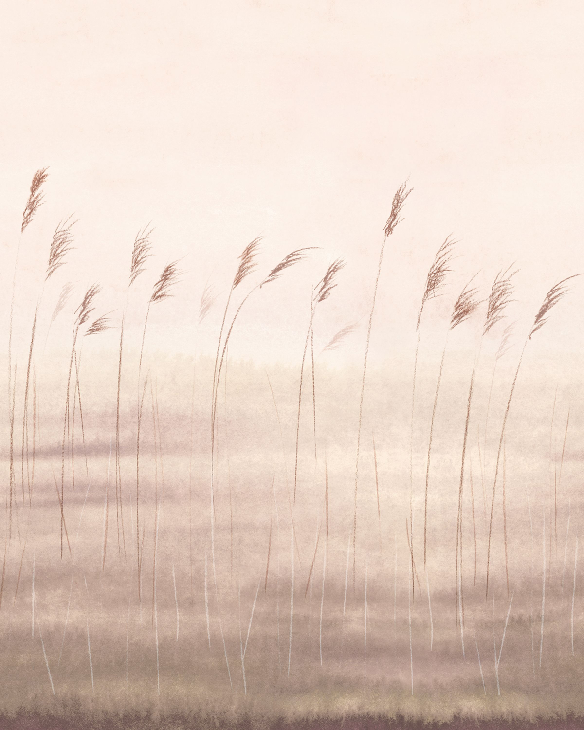 Papier peint panoramique Herbe Jonc des Dunes S naturel 200X250 - Wonderwalls 2 de Casadéco | Réf. WDWD200081505