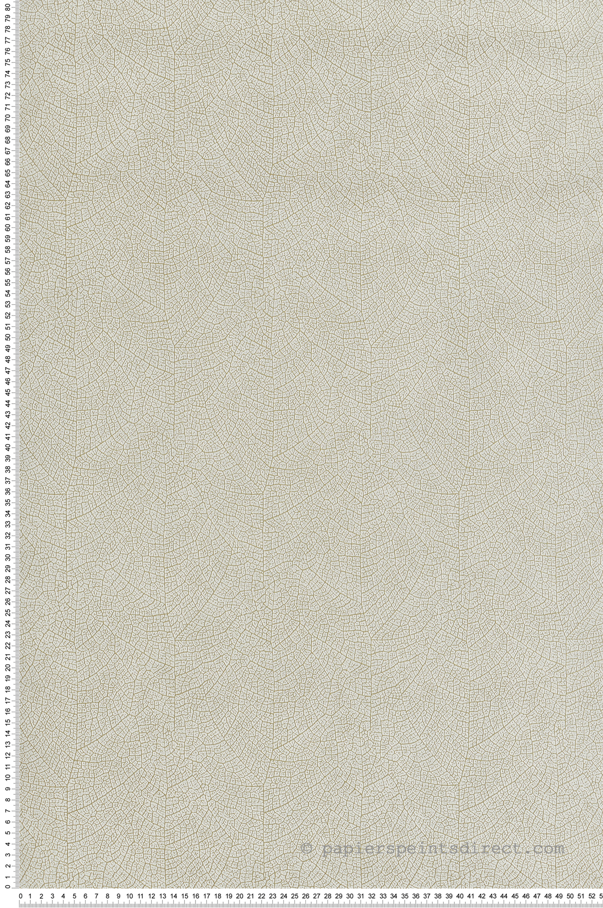 Papier peint Feuille Nervure Nola vert amande - Vegetals de Casadéco | Réf. VEGE201287117