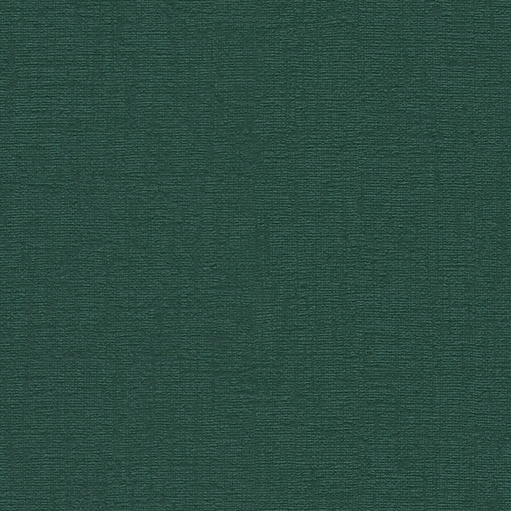 Papier peint Uni Pixel Texturé vert sapin - Stories of Life d'A.S. Création AMB3 | Réf. AS-396555