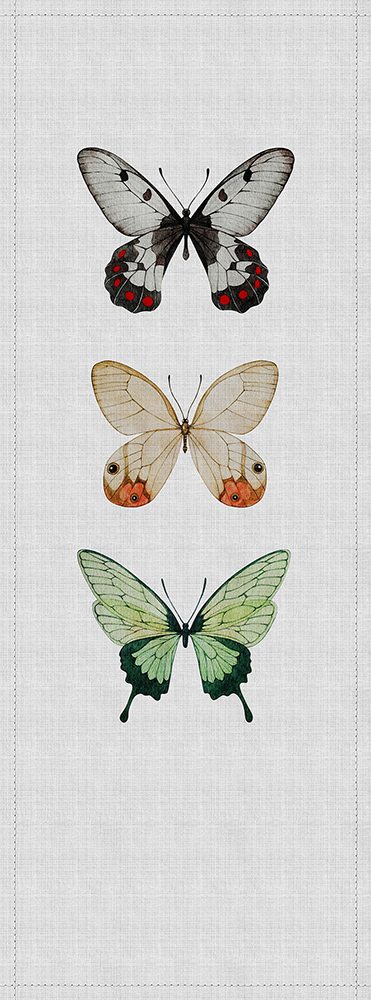 Papier peint panoramique Papillons Insecte Buzz Panels 2 - Référence DD114042 - Intissé 200g/m2 - Standard 100 x 270