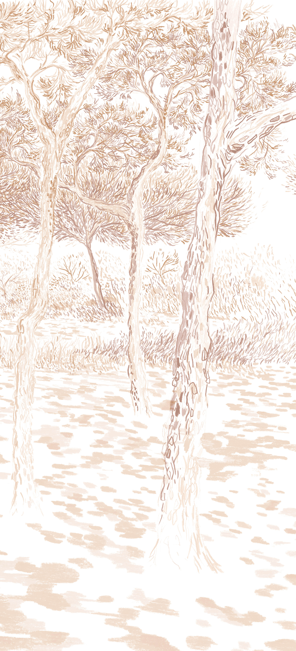 Papier peint panoramique Balade sous les pins Sépia C - 7/8/9 - Isidore Leroy