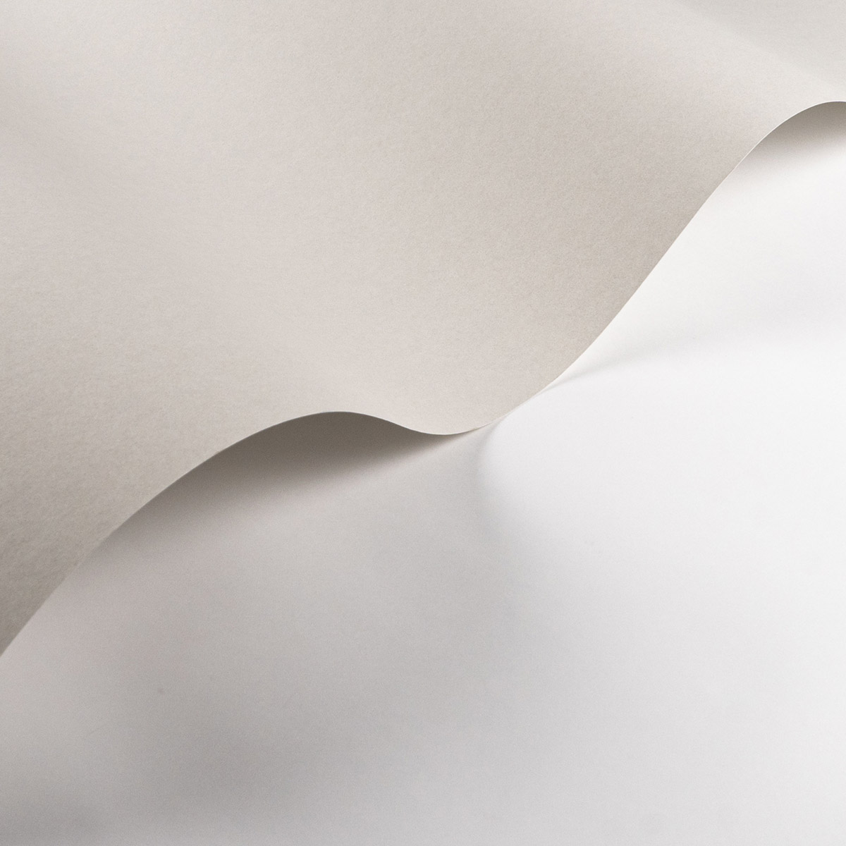 Papier peint Uni Pigments Buvard grège - Années Folles de Casadéco AMBV | Réf. ANFO200339119