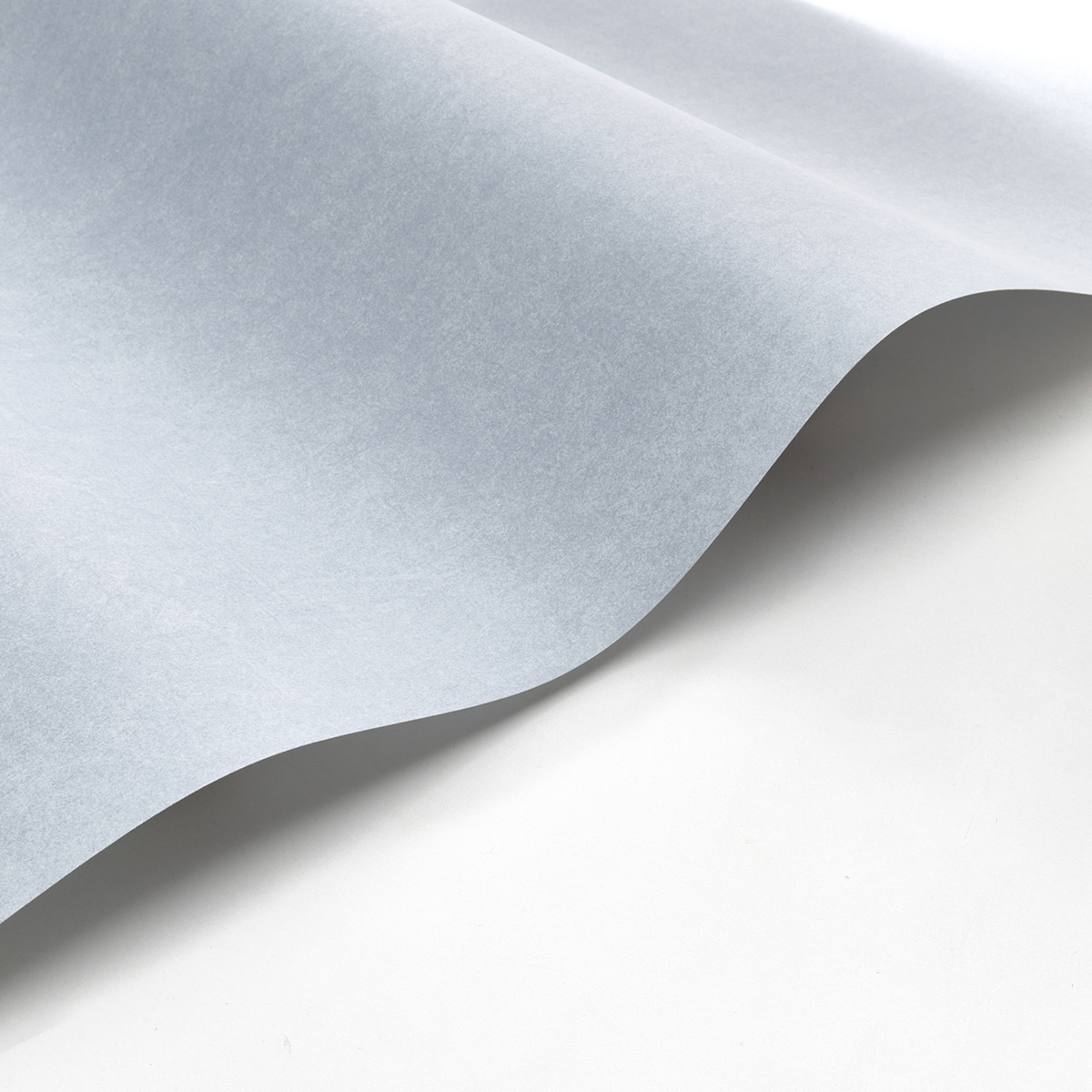 Papier peint Cotton Touch gris bleu - Flower Market de Casadéco | Réf. FLOM82389338